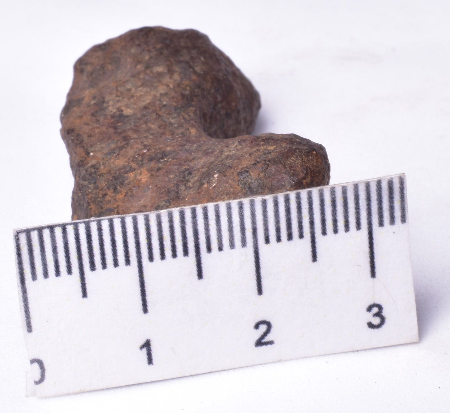 MUNDRABILLA IRON METEORITE, Western Australia MT252