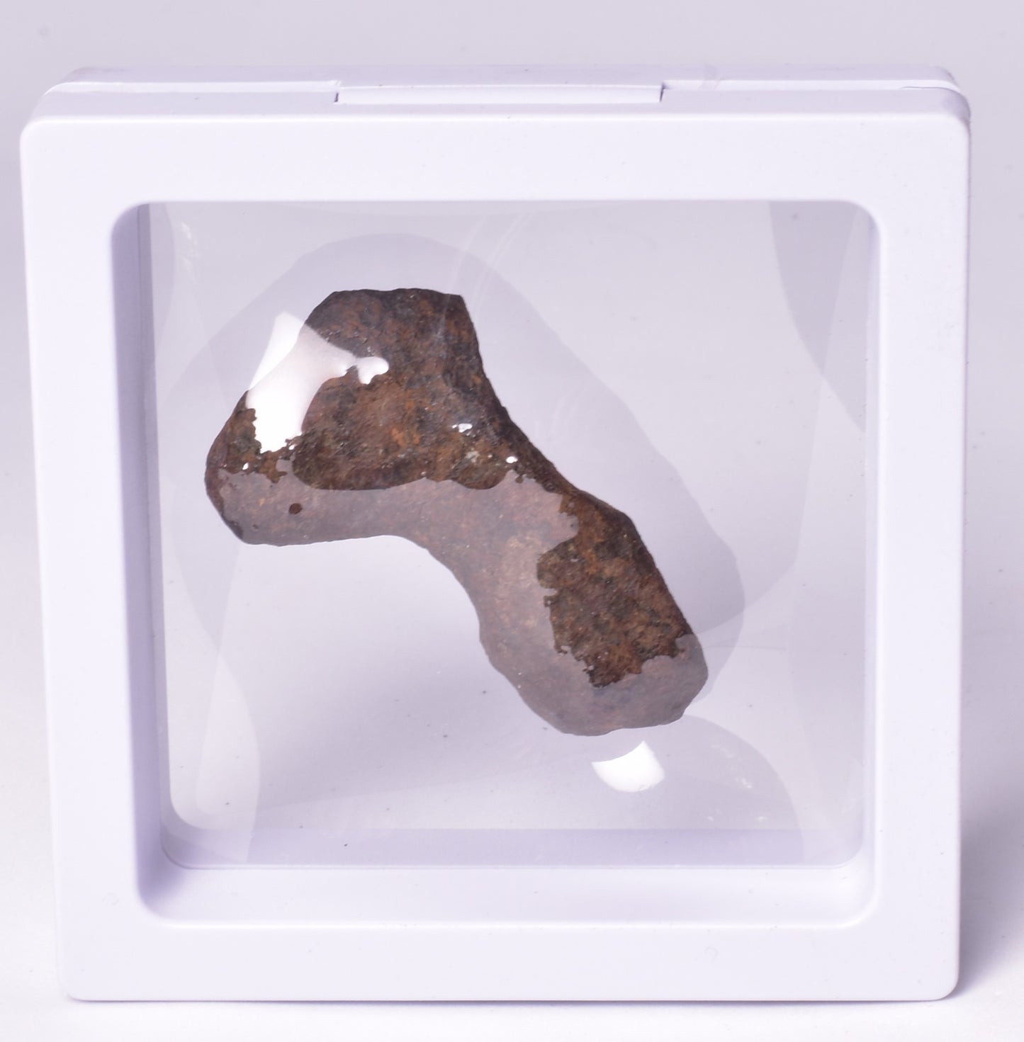 MUNDRABILLA IRON METEORITE, Western Australia MT252