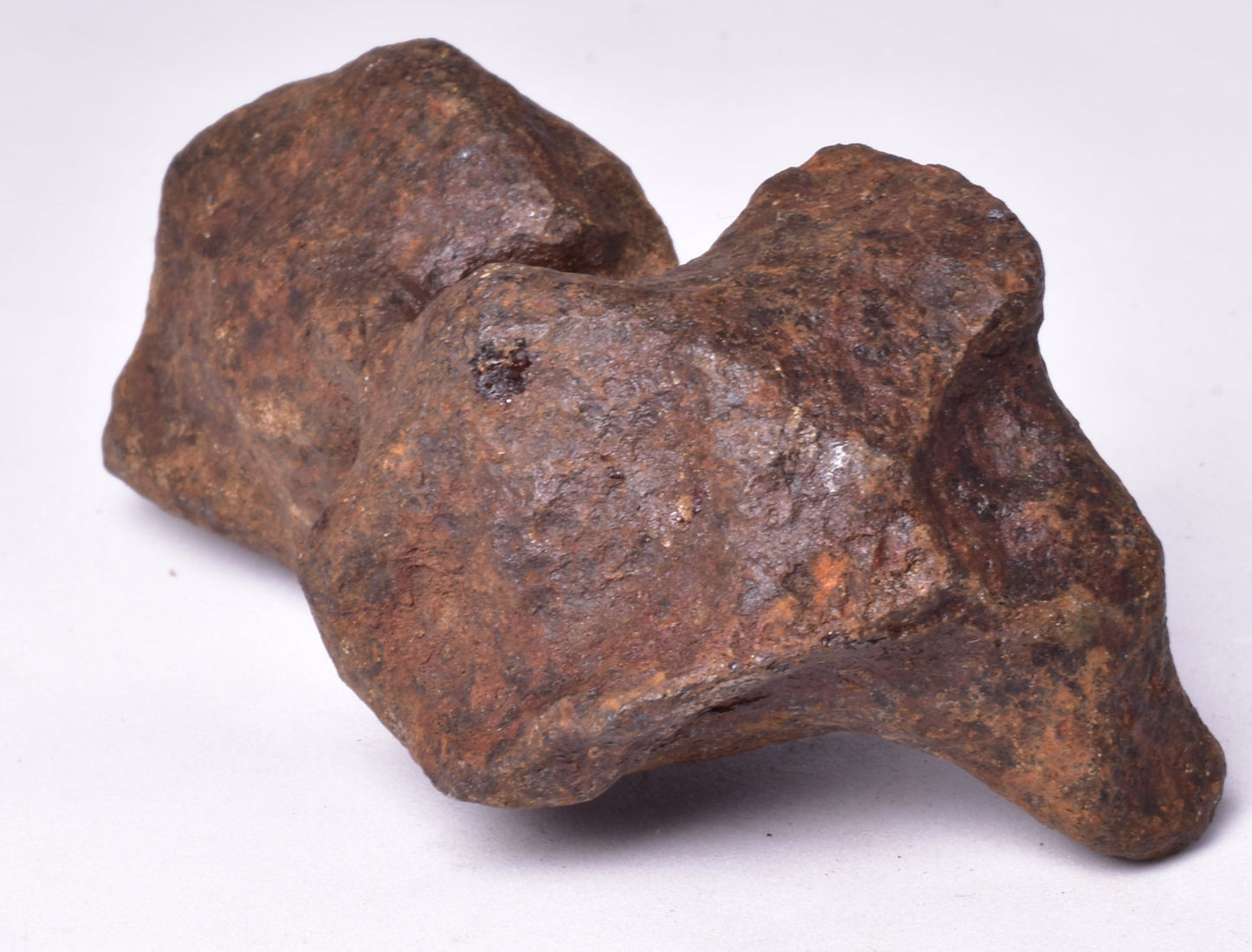 MUNDRABILLA IRON METEORITE, Western Australia MT253