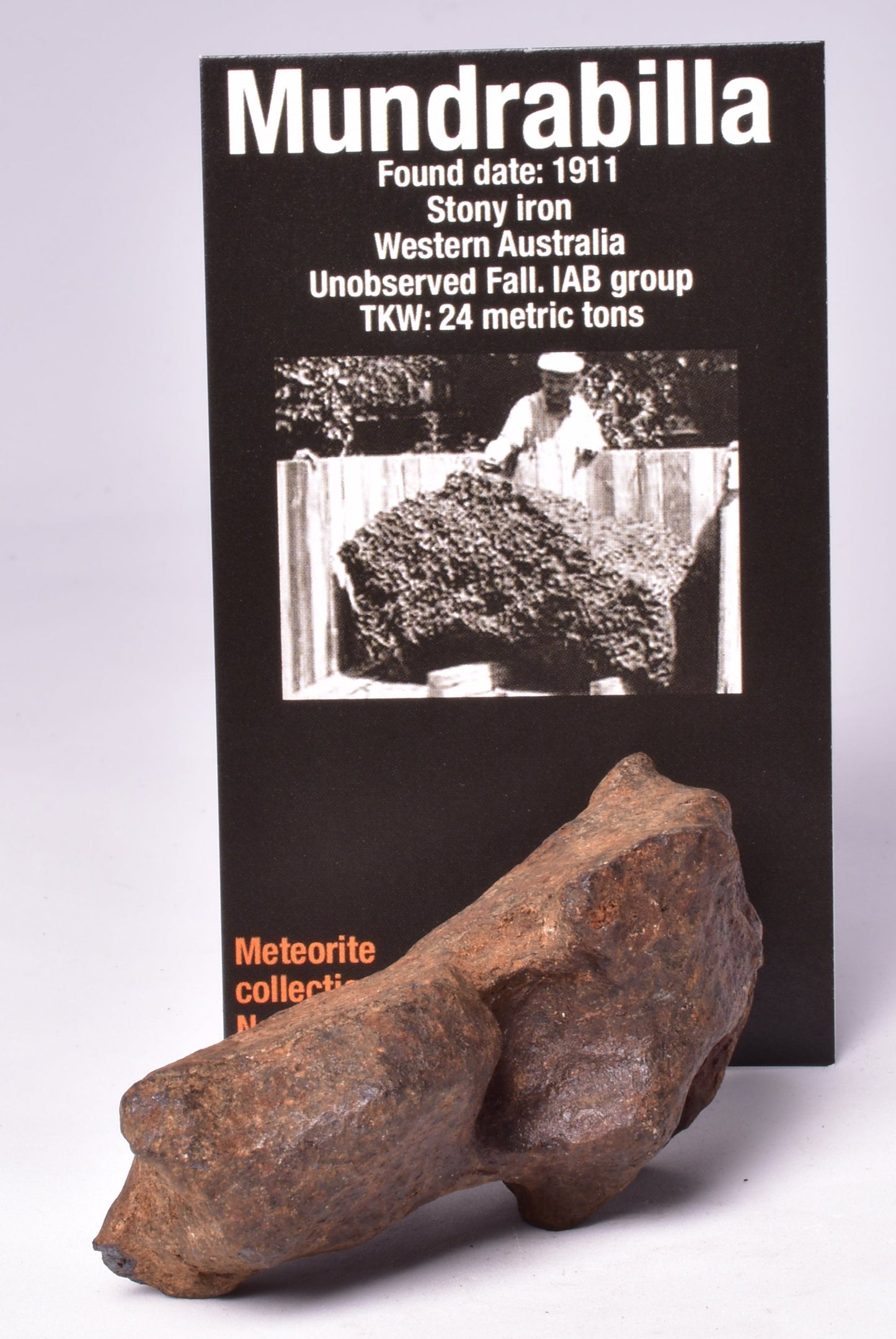 MUNDRABILLA IRON METEORITE, Western Australia MT253