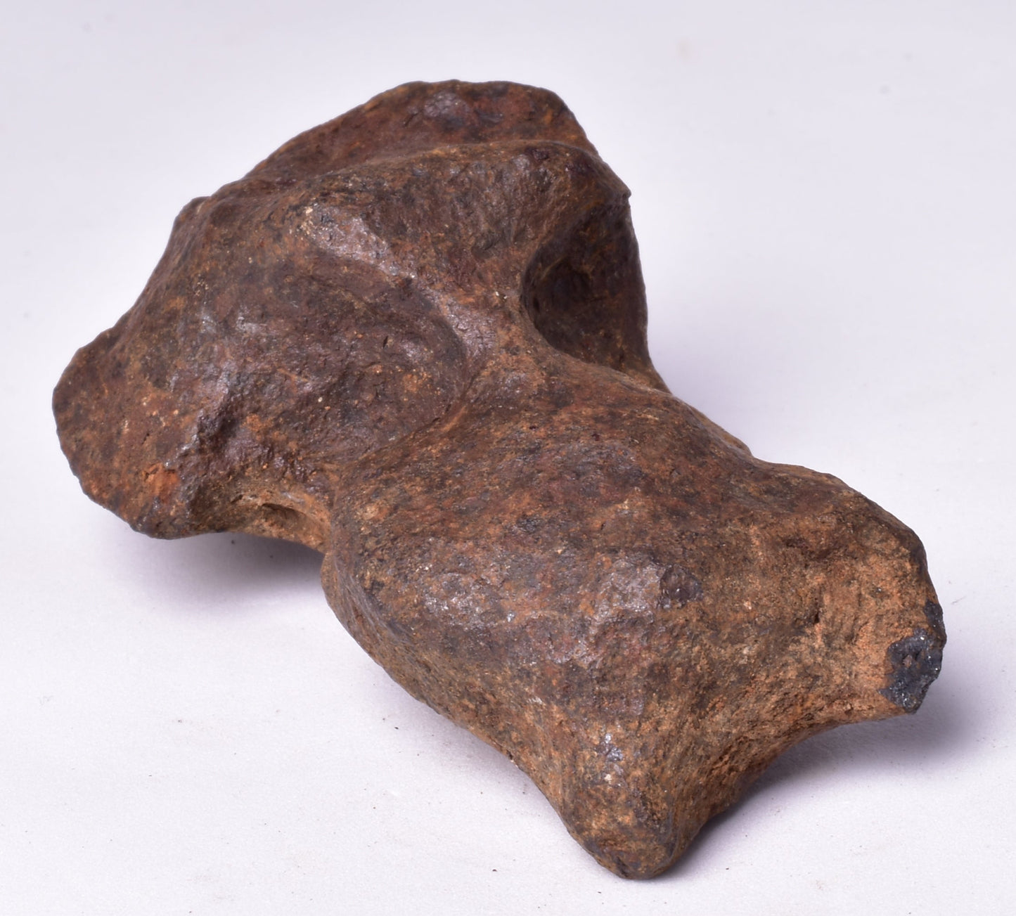 MUNDRABILLA IRON METEORITE, Western Australia MT253