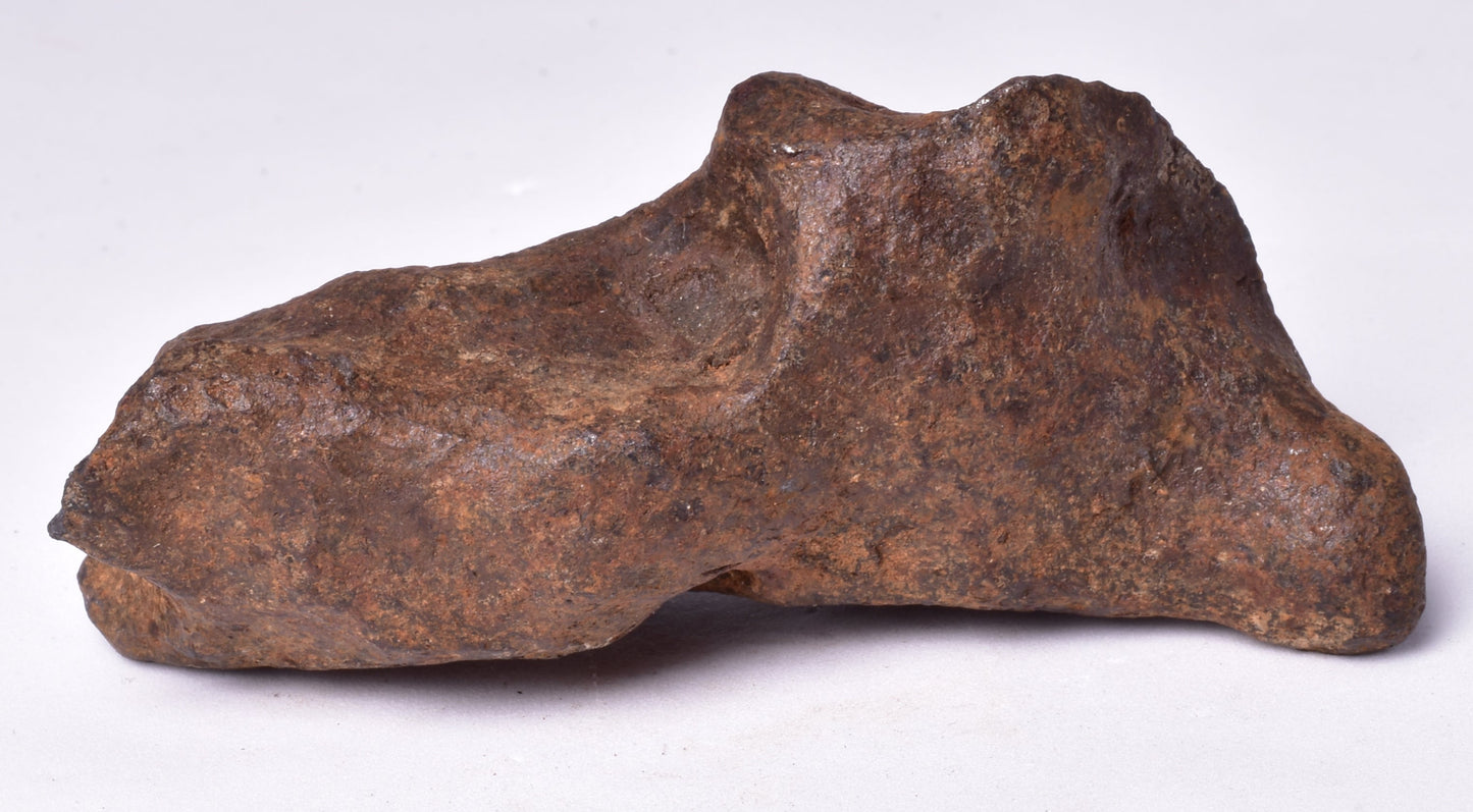MUNDRABILLA IRON METEORITE, Western Australia MT253