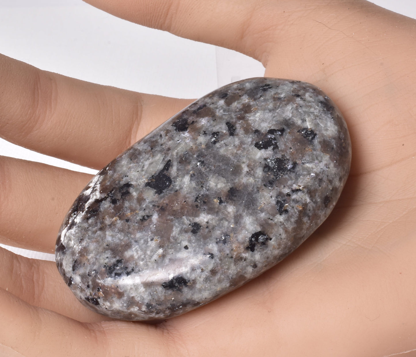 YOOPERLITE UV PALM STONE P2043