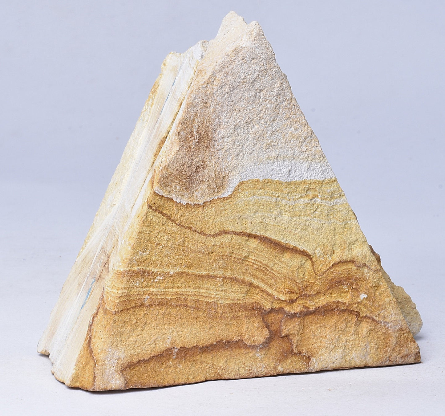 TRILOBITE FOSSIL PAIR , Odontopleura markhami. Forbes, NSW, Australia F386