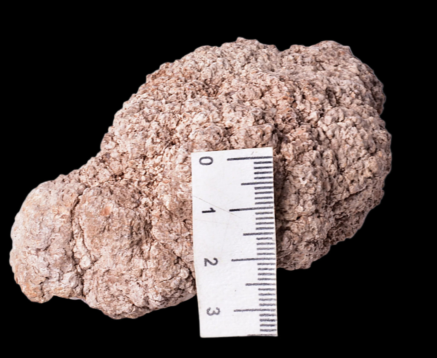 PINK AMETHYST CLUSTER GEODE, Argentina P324