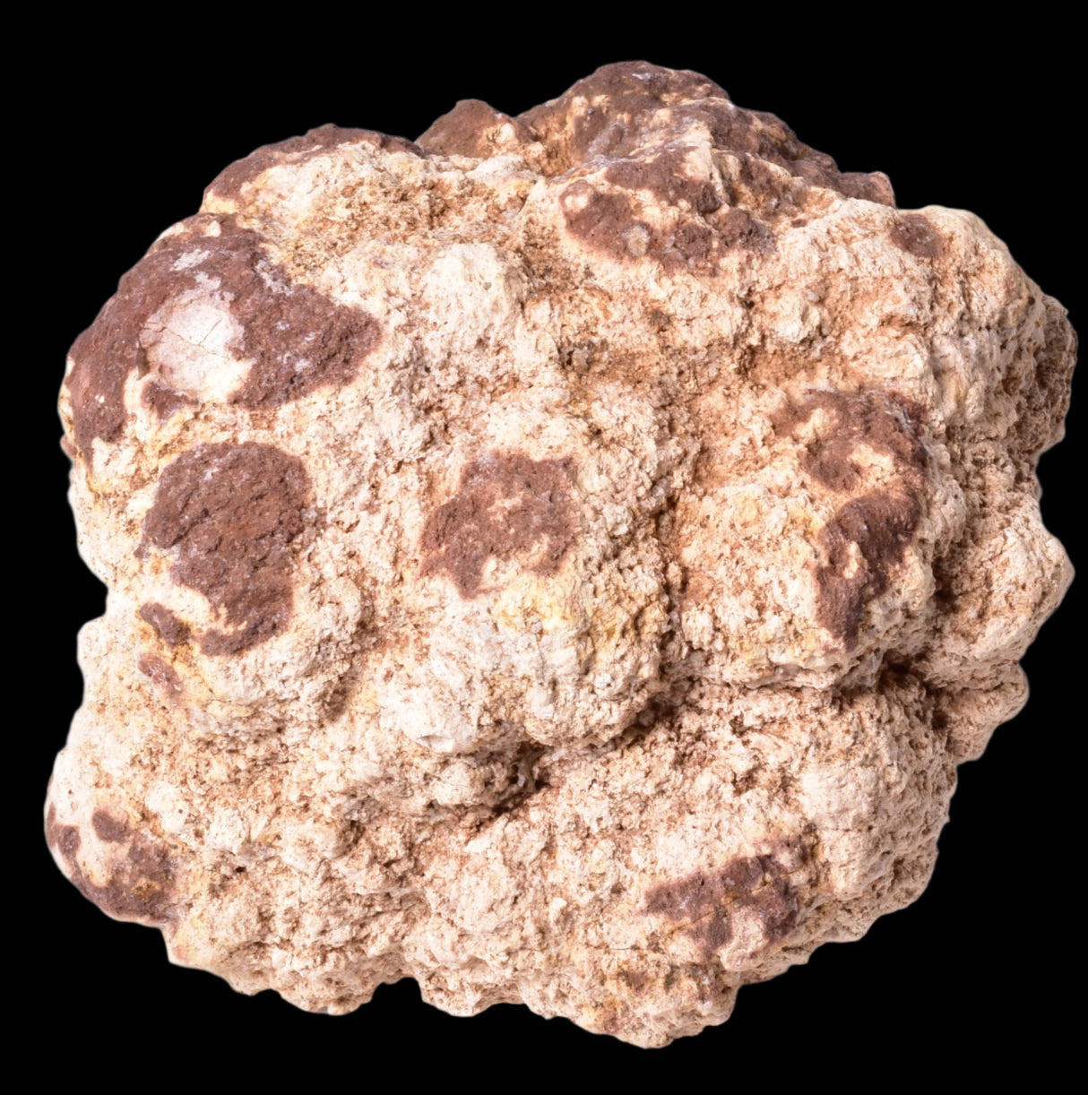 PINK AMETHYST CLUSTER GEODE, Argentina P328