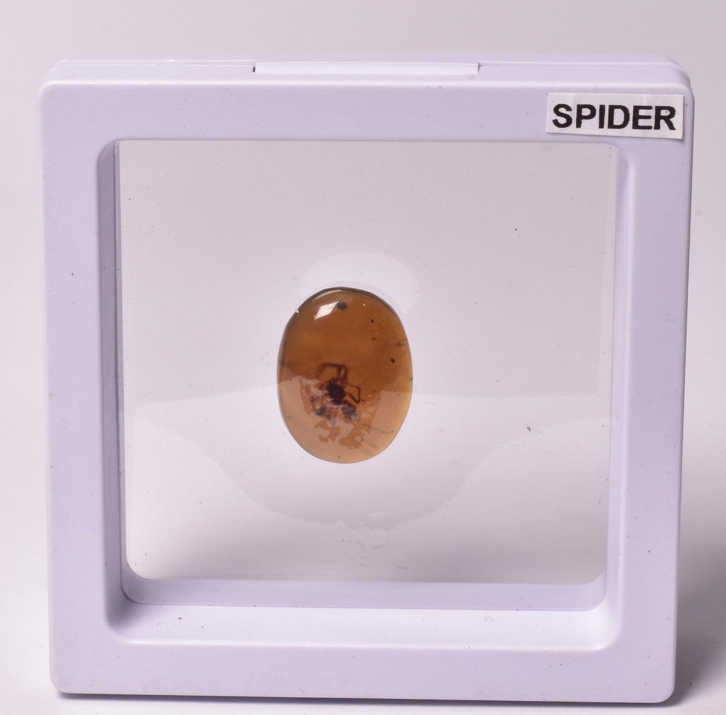 AMBER CABACHON with SPIDER from BURMA F33