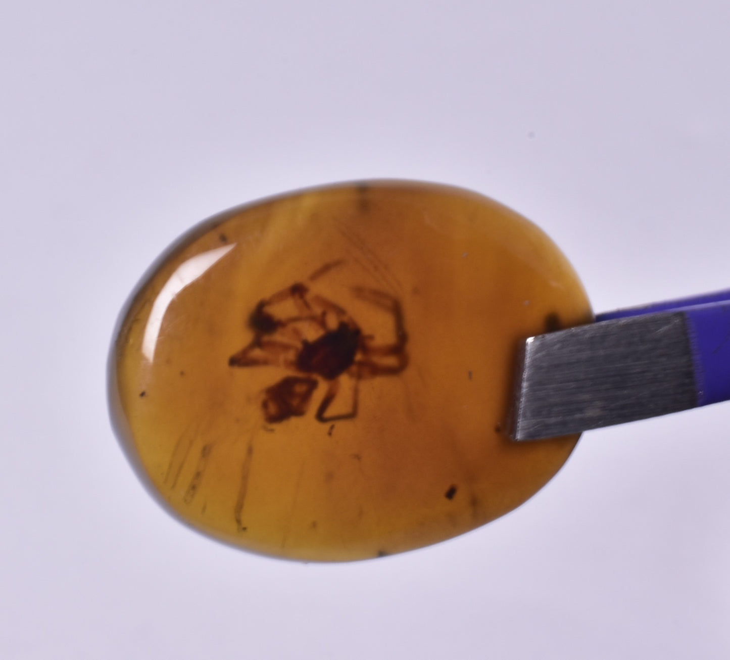 AMBER CABACHON with SPIDER from BURMA F33