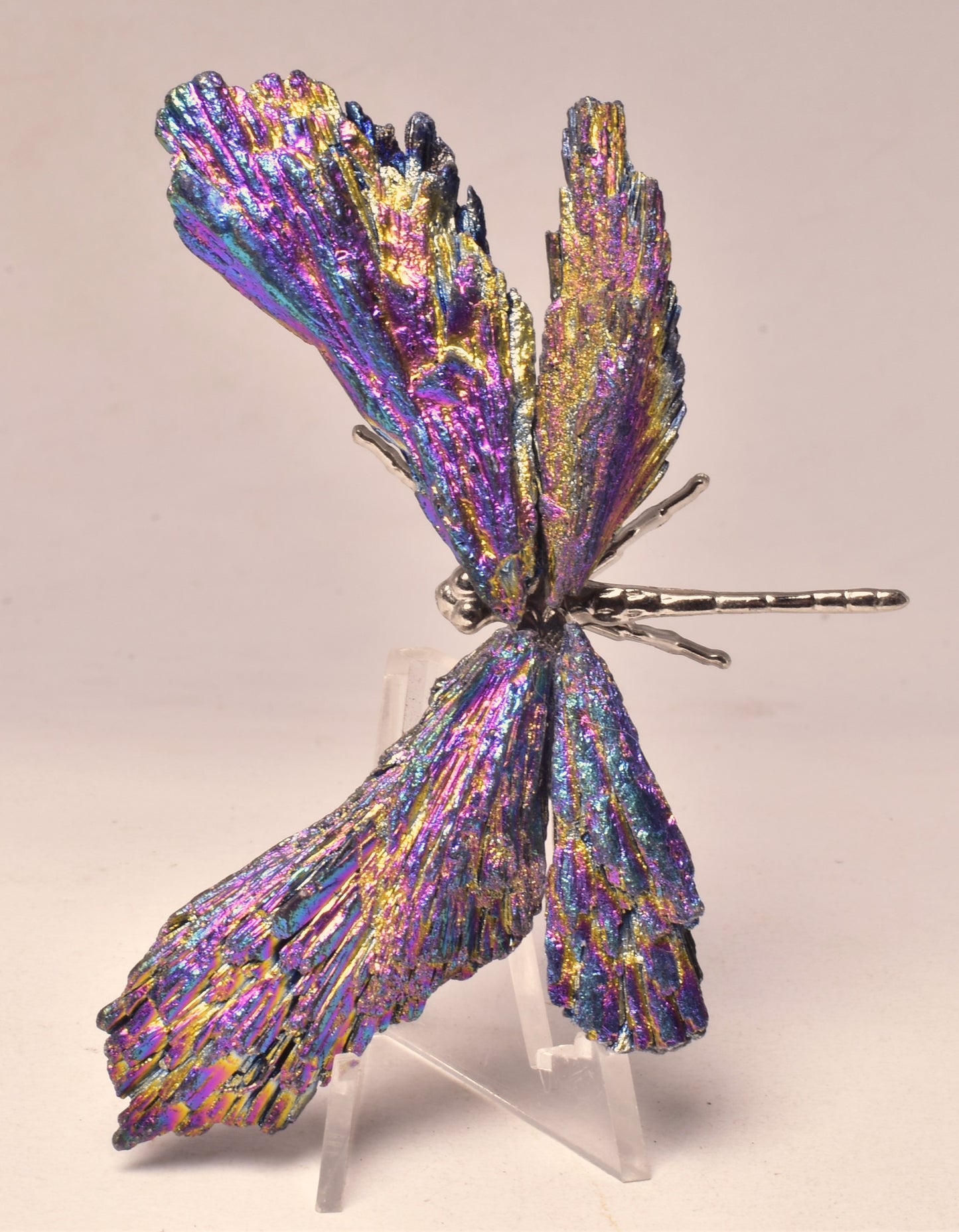 TITANIUM AURA KYANITE DRAGONFLY P569