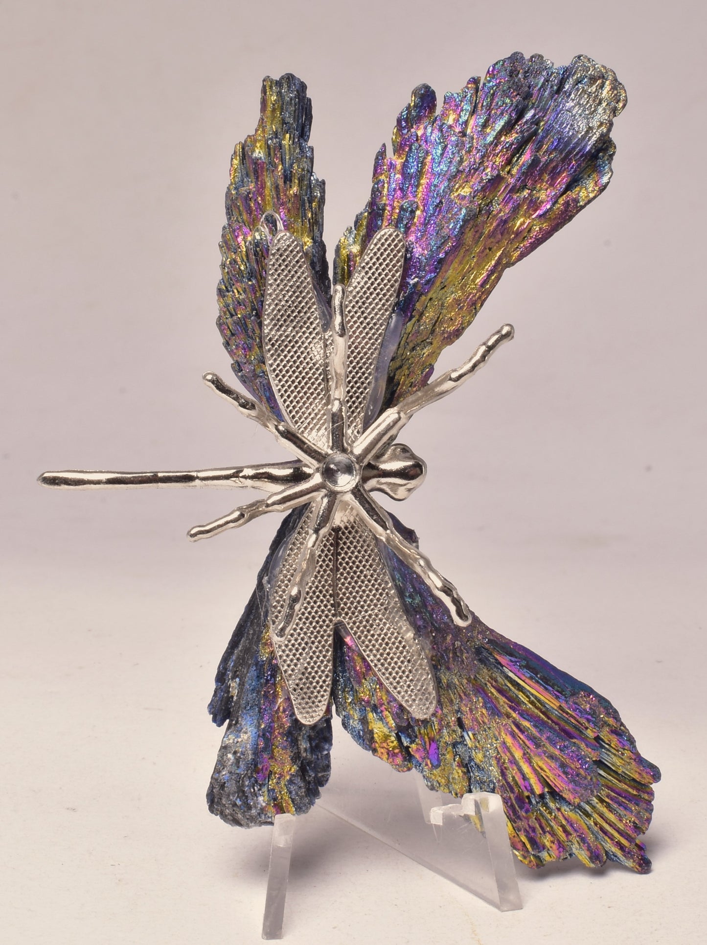 TITANIUM AURA KYANITE DRAGONFLY P569