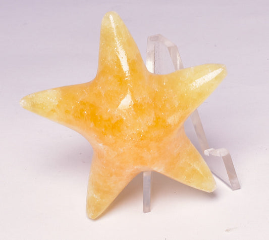 ORANGE CALCITE STAR FISH P822