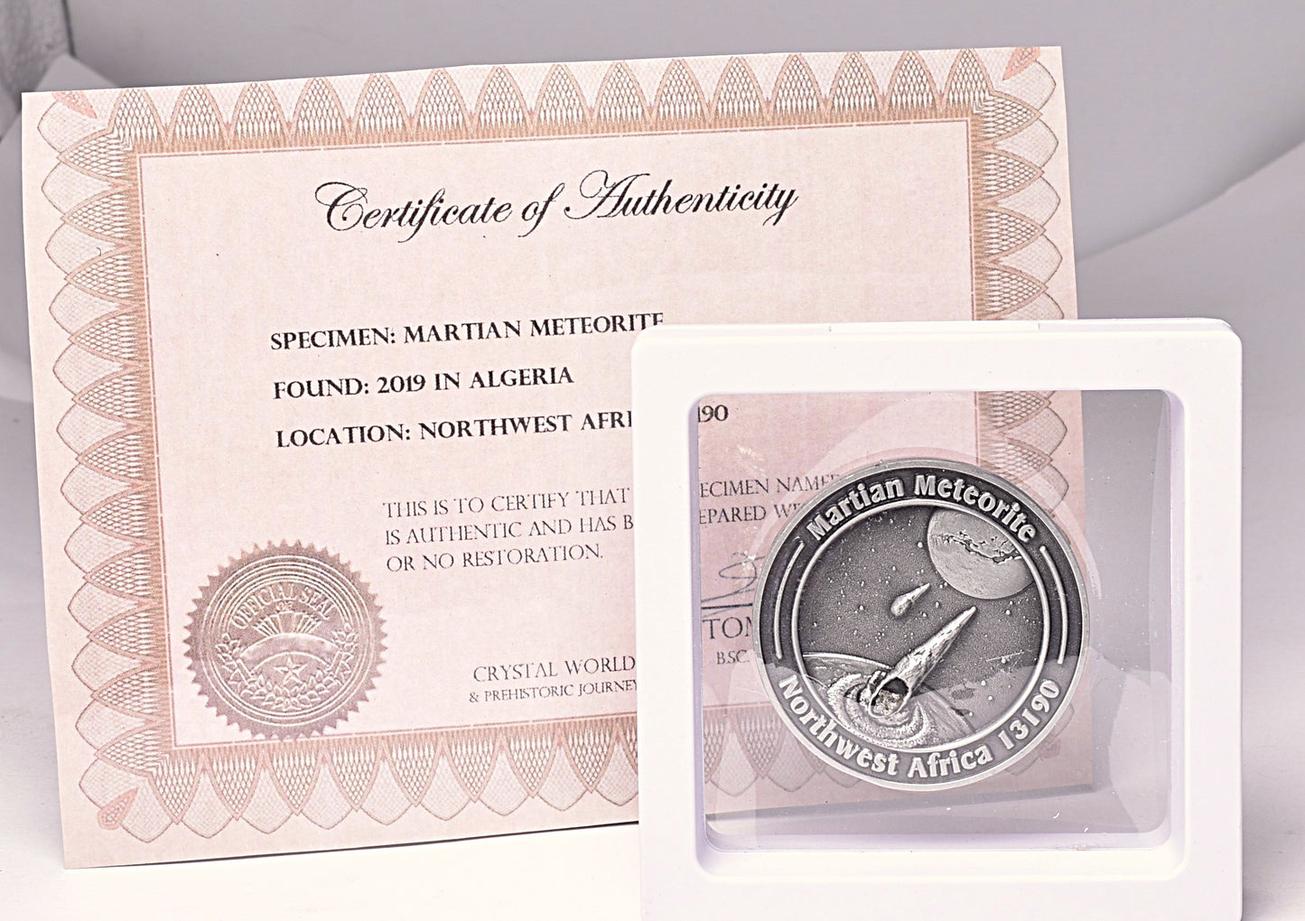 MARTIAN METEORITE in COLLECTORS COIN, NORTH WEST AFRICA 13190 MT188