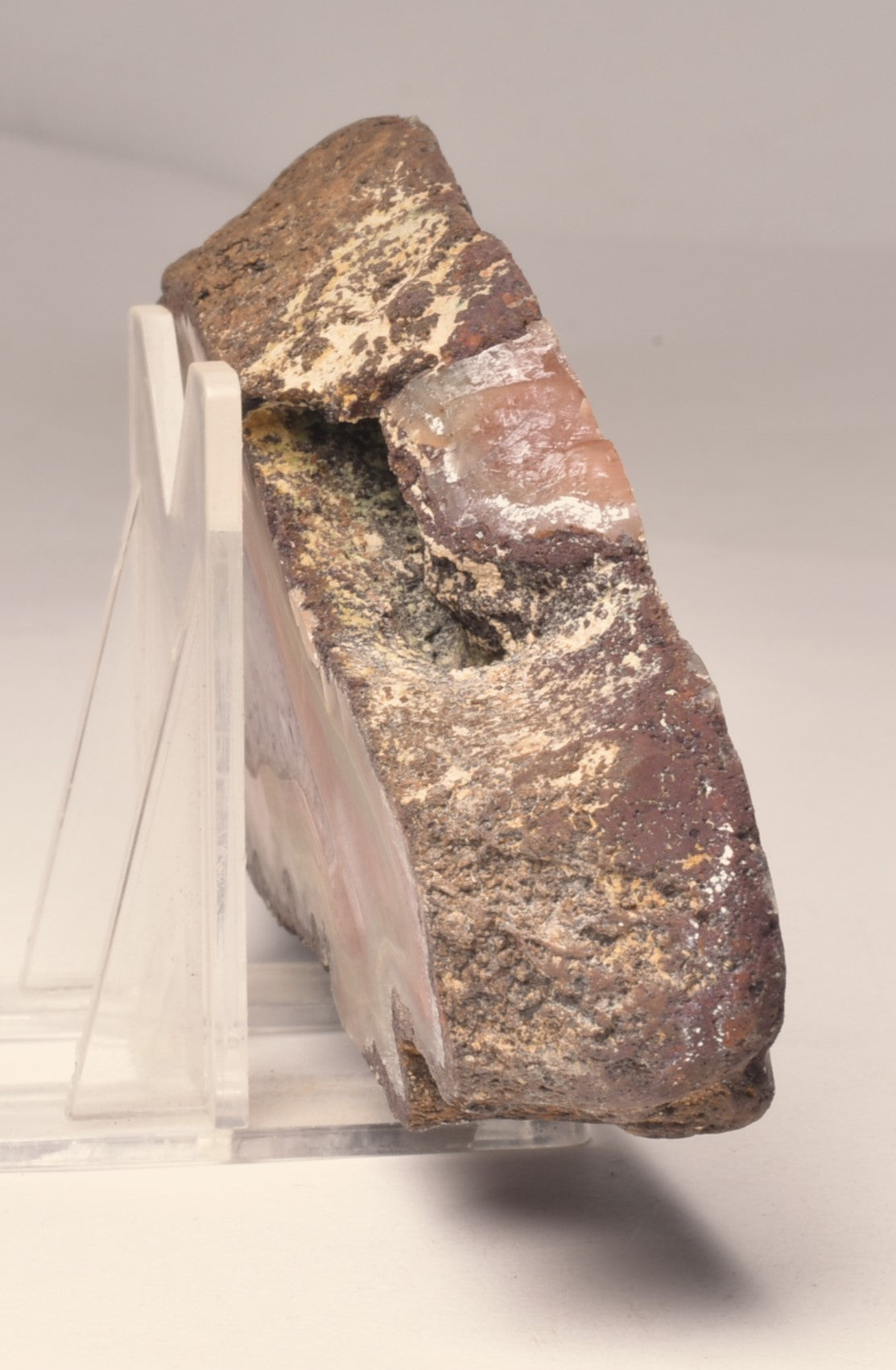 AGATE CREEK, Polished AGATE, AUSTRALIA P650