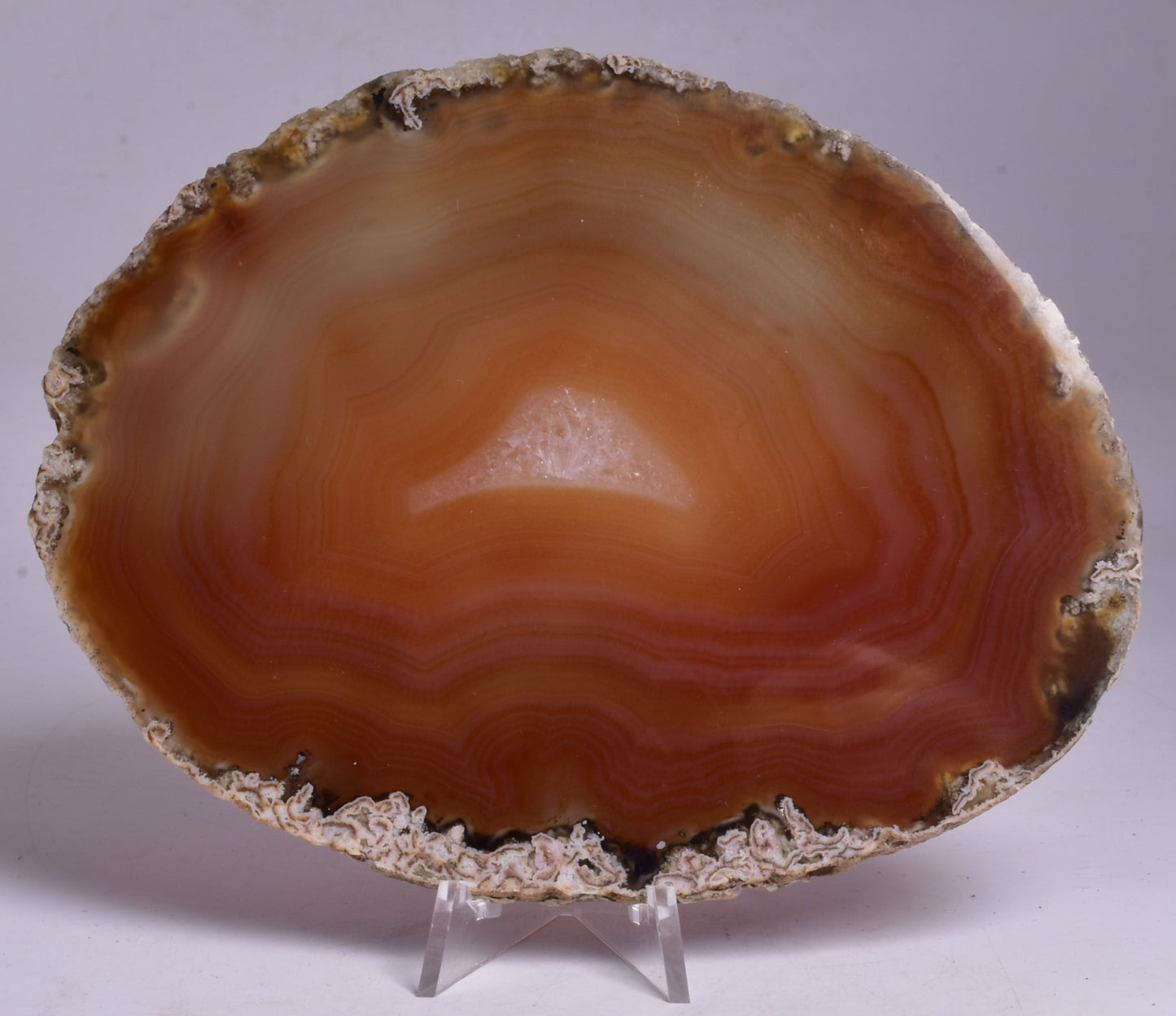 AGATE DYED SLICE FROM BRAZIL P2090