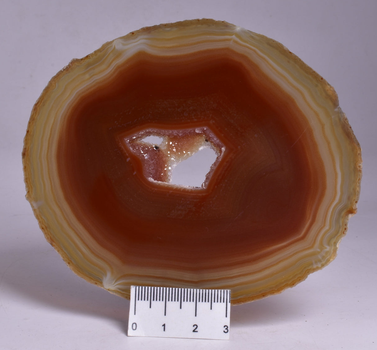 AGATE DYED SLICE FROM BRAZIL P261