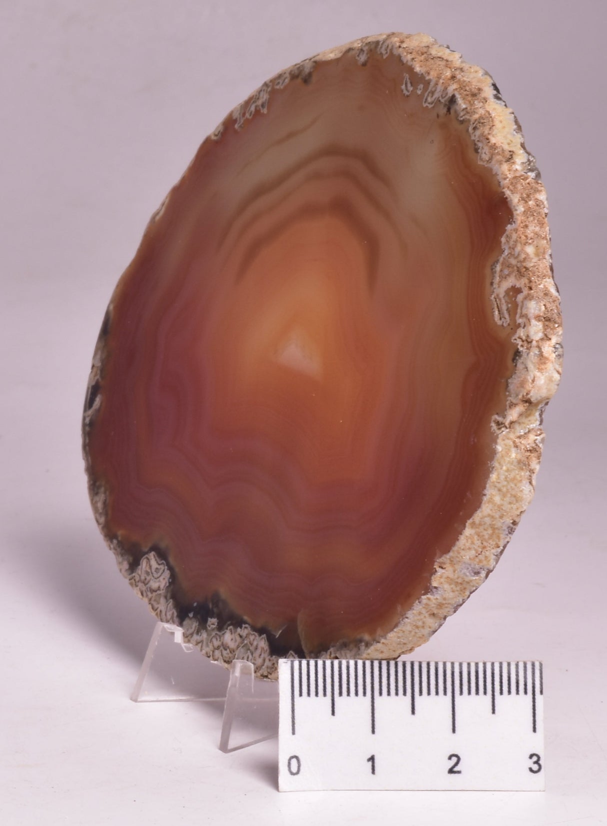 AGATE DYED SLICE FROM BRAZIL P260