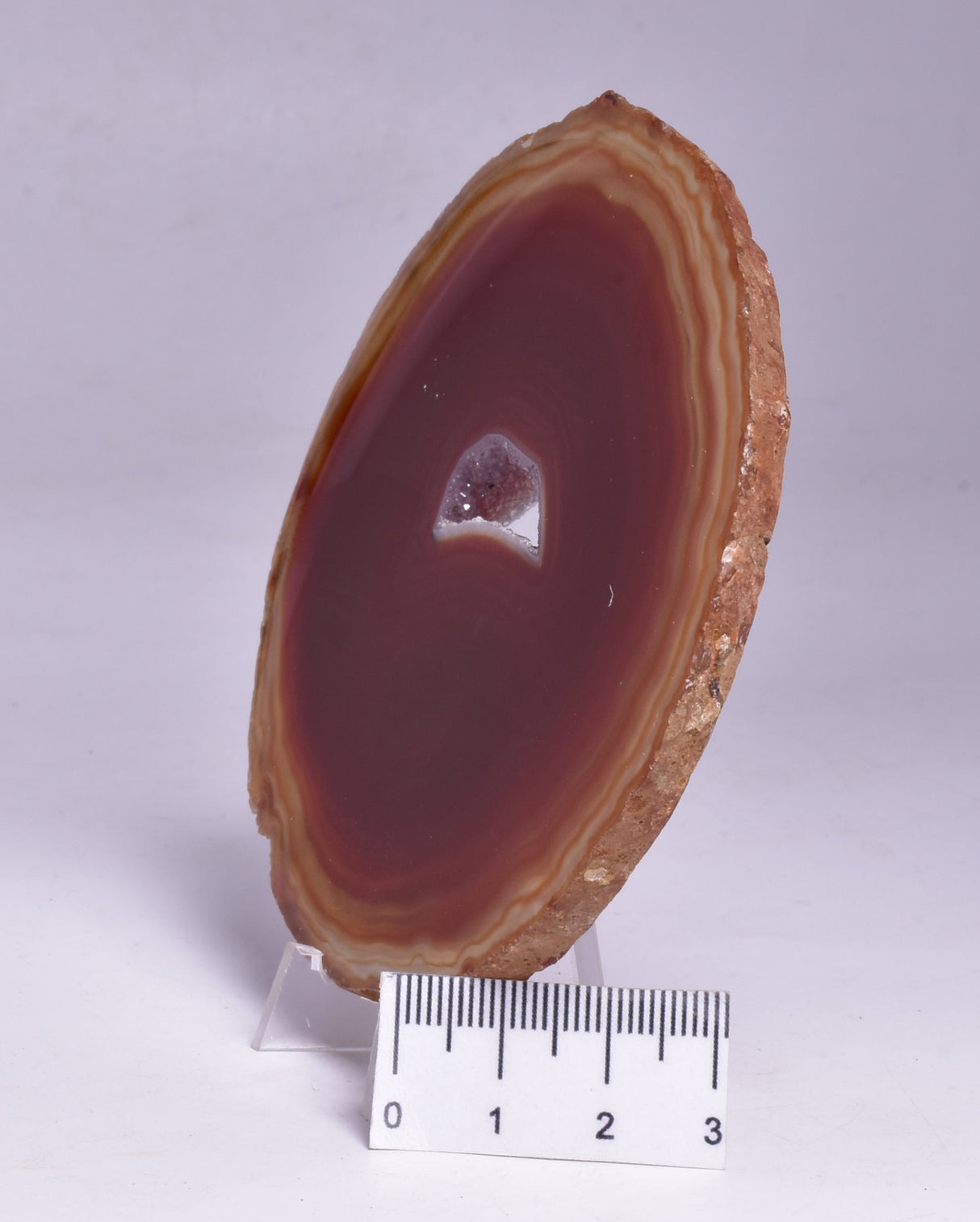 AGATE DYED SLICE FROM BRAZIL P262