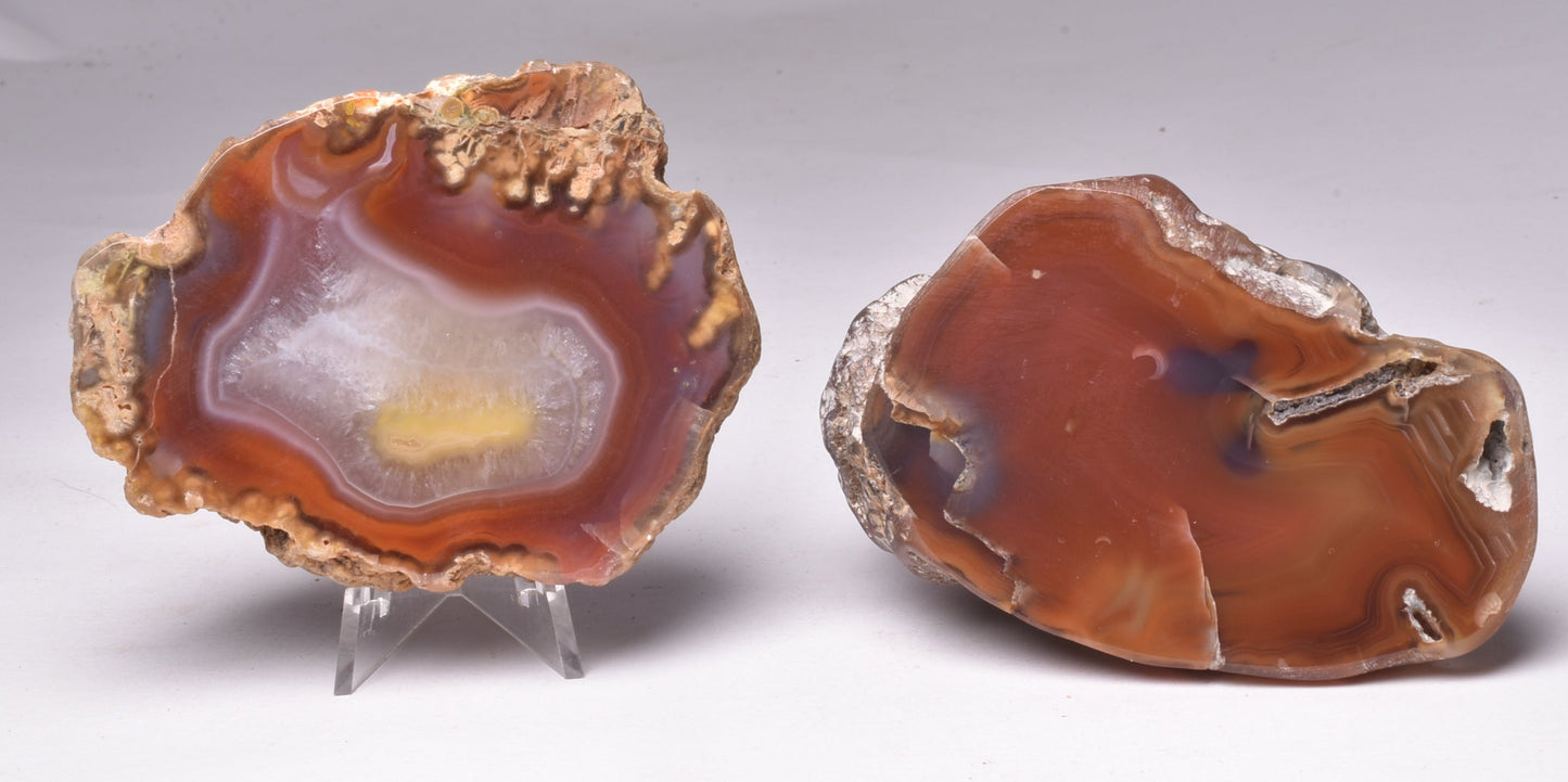 AGATE CREEK, Polished AGATE, AUSTRALIA S867