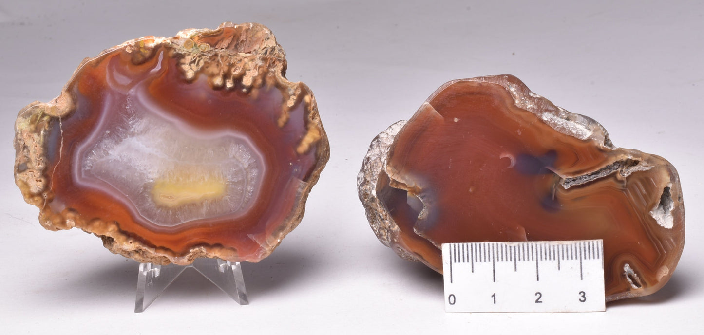 AGATE CREEK, Polished AGATE, AUSTRALIA S867