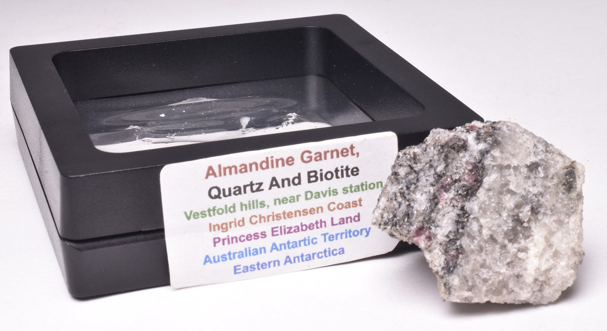 ALMANDINE GARNET, QUARTZ AND BIOTITE, AUSTRALIAN ANTARTIC TERRITORY M299