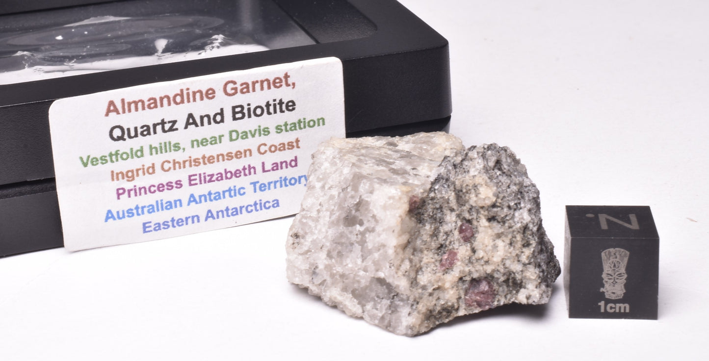 ALMANDINE GARNET, QUARTZ AND BIOTITE, AUSTRALIAN ANTARTIC TERRITORY M299