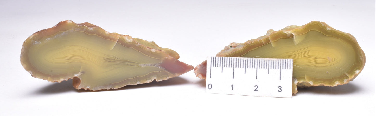 AGATE CREEK, Polished AGATE Pair, AUSTRALIA S1149