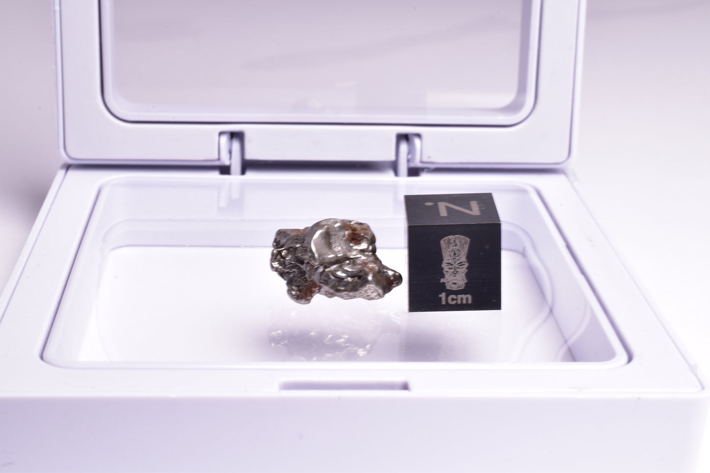 CAMPO DEL CIELO METEORITE, ARGENTINA, FOUND:1576 MT36