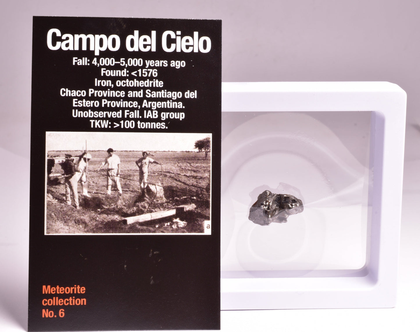 CAMPO DEL CIELO IRON METEORITE, ARGENTINA, FOUND:1576 MT101