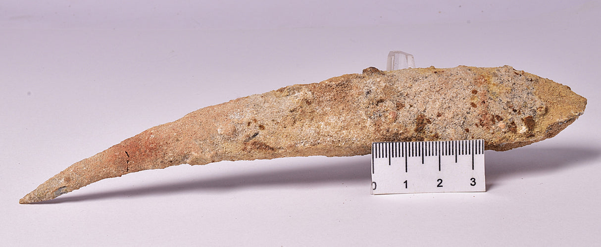 HYBODUS SHARK DORSAL SPINE FOSSIL, Late Cretaceous, Morocco F1515