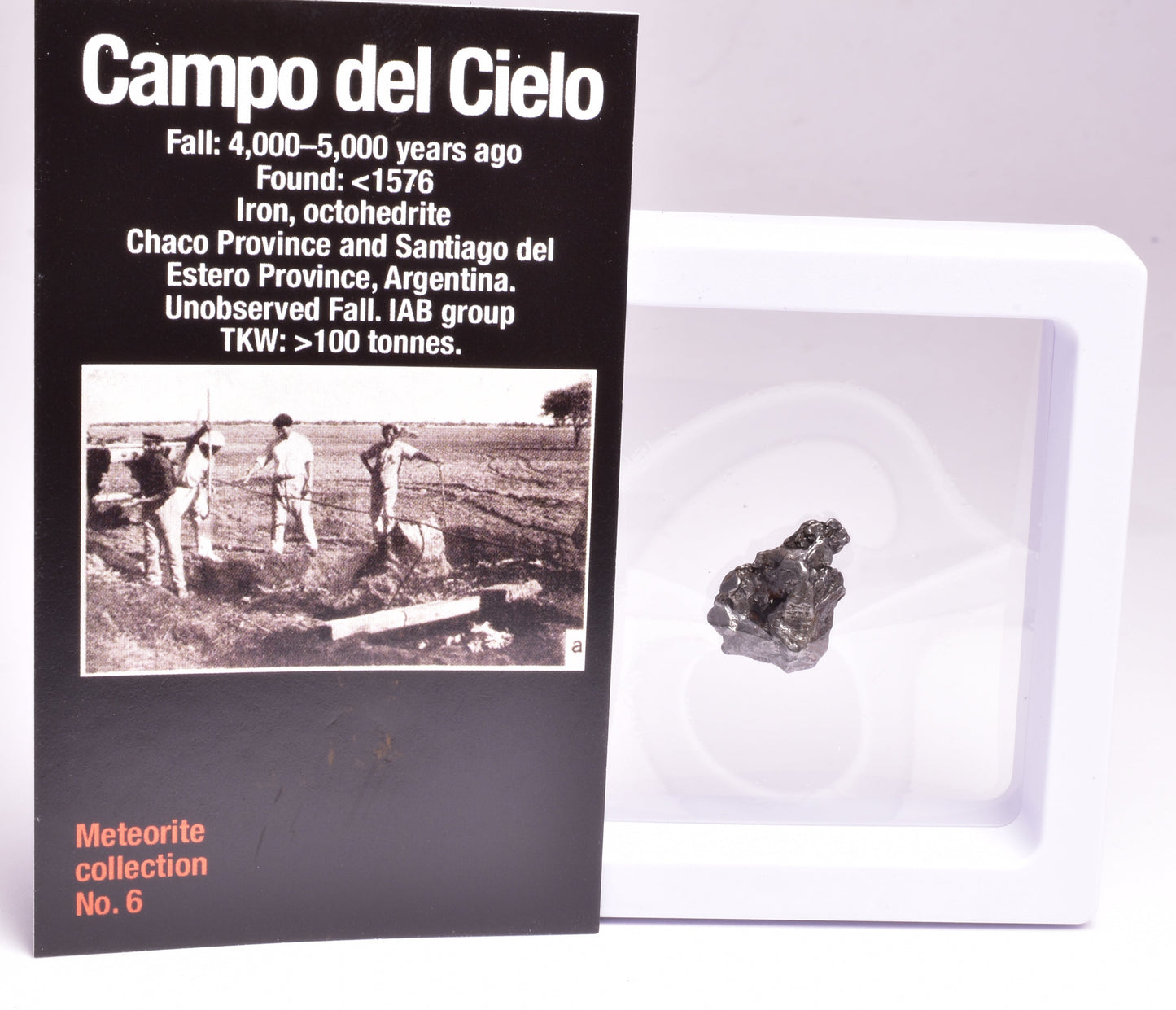 CAMPO DEL CIELO METEORITE, ARGENTINA, FOUND:1576 MT117