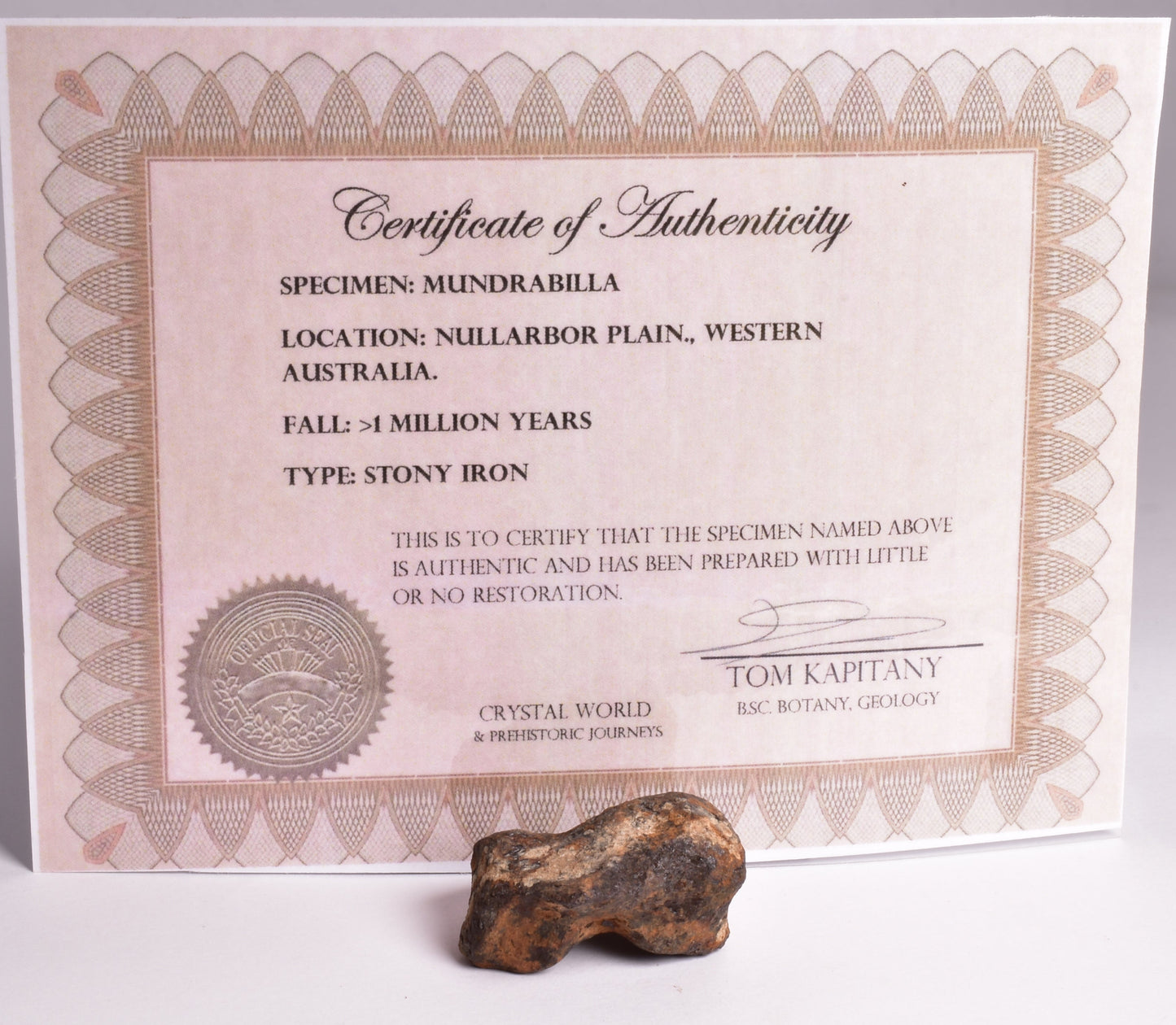 MUNDRABILLA IRON METEORITE, Western Australia MT48