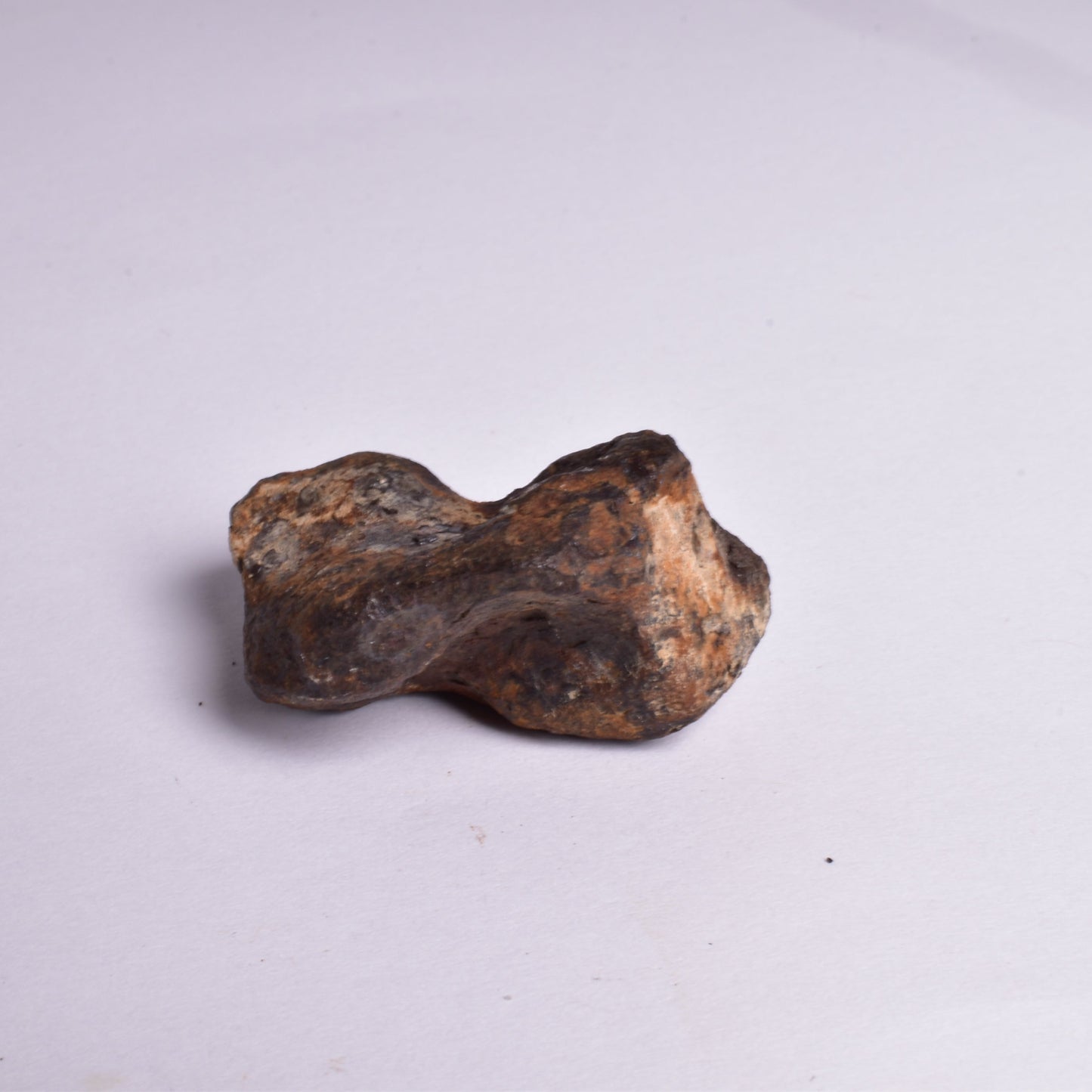 MUNDRABILLA IRON METEORITE, Western Australia MT48