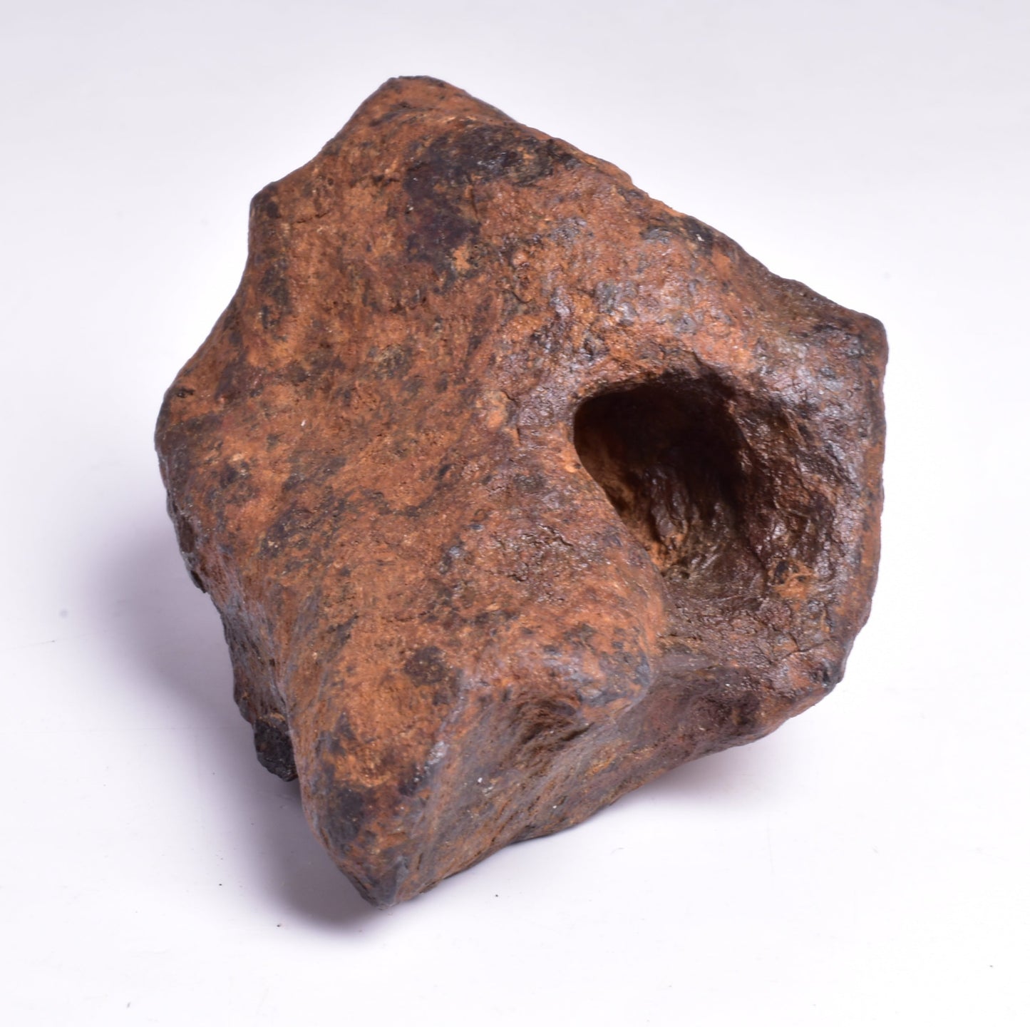 MUNDRABILLA IRON METEORITE with HOLES, VERY RARE, STONY IRON, AUSTRALIA MT73
