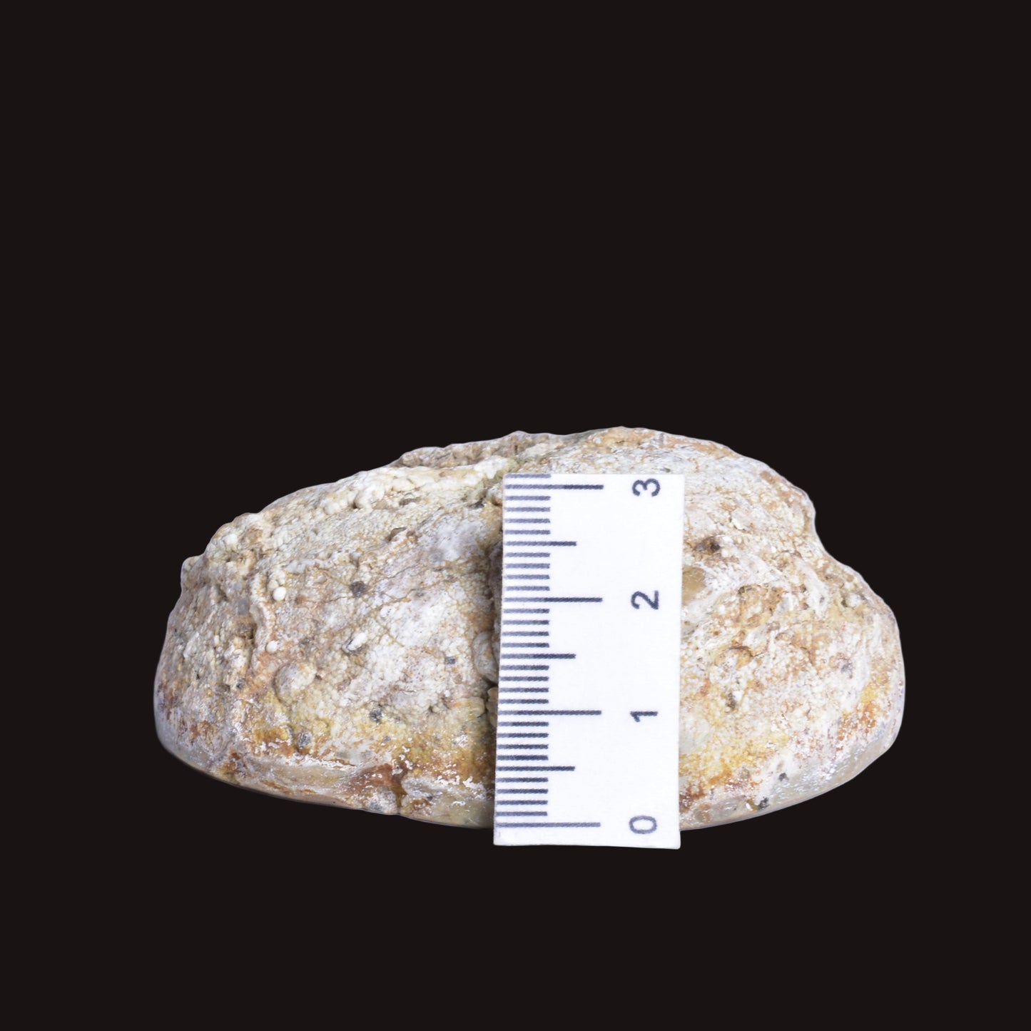 THUNDEREGG HALF, AGATE CREEK AUSTRALIA P686
