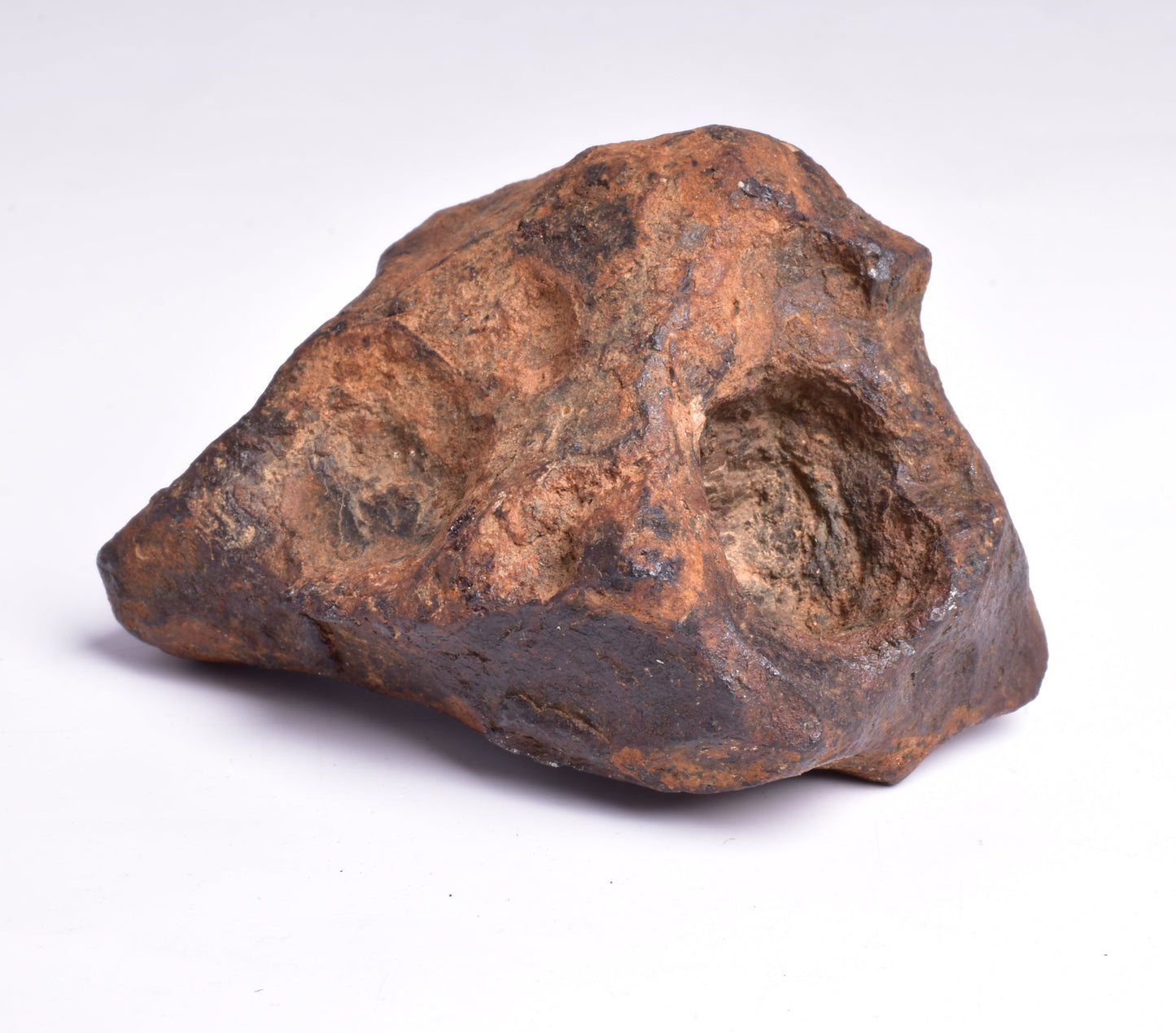 MUNDRABILLA IRON METEORITE with HOLES, VERY RARE, STONY IRON, AUSTRALIA MT73