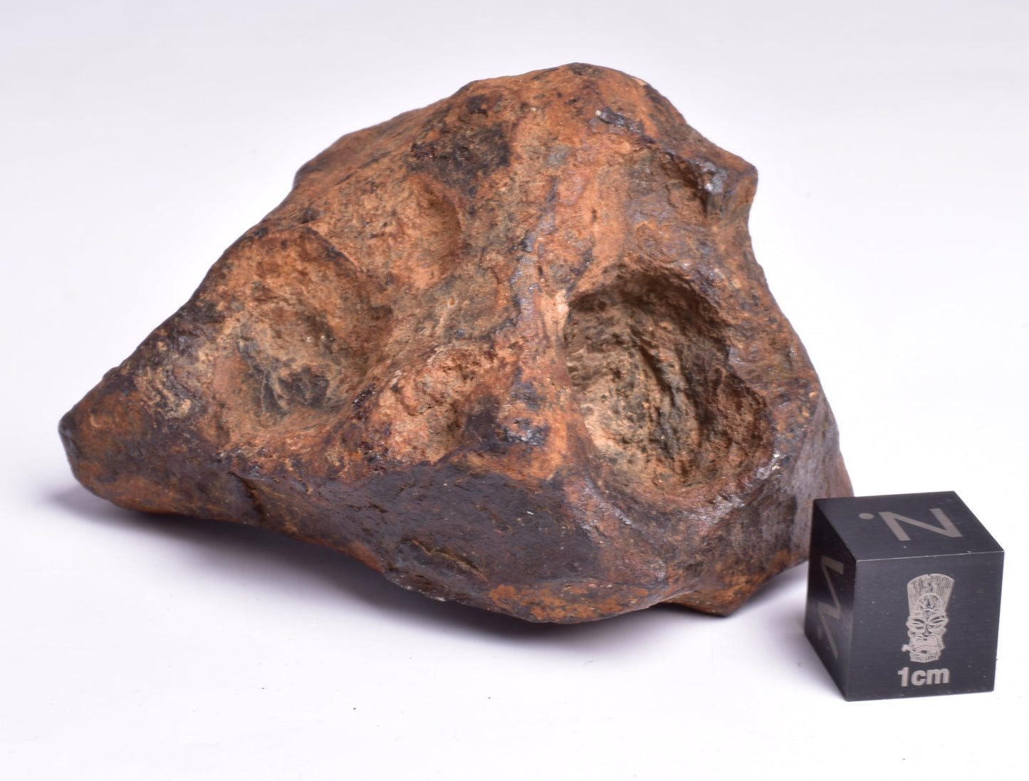 MUNDRABILLA IRON METEORITE with HOLES, VERY RARE, STONY IRON, AUSTRALIA MT73