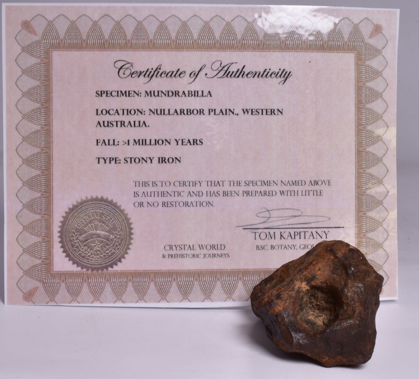 MUNDRABILLA IRON METEORITE with HOLES, VERY RARE, STONY IRON, AUSTRALIA MT73
