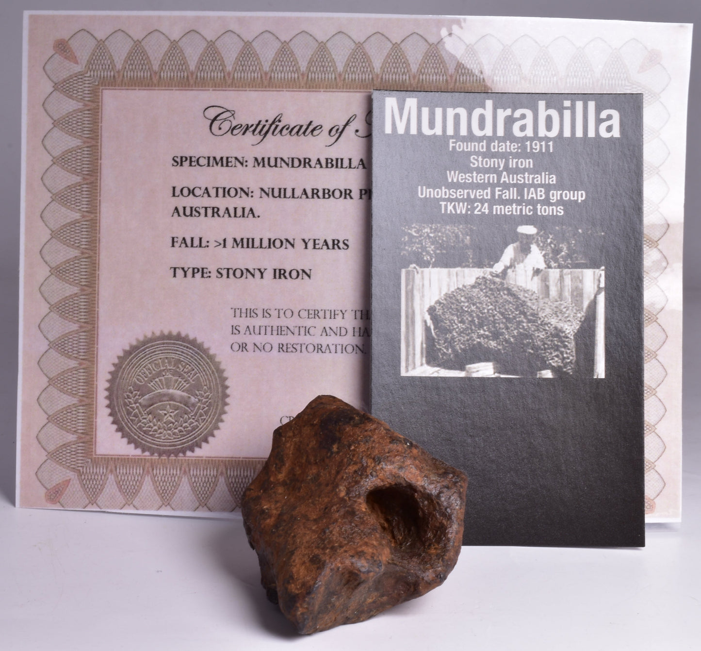 MUNDRABILLA IRON METEORITE with HOLES, VERY RARE, STONY IRON, AUSTRALIA MT73