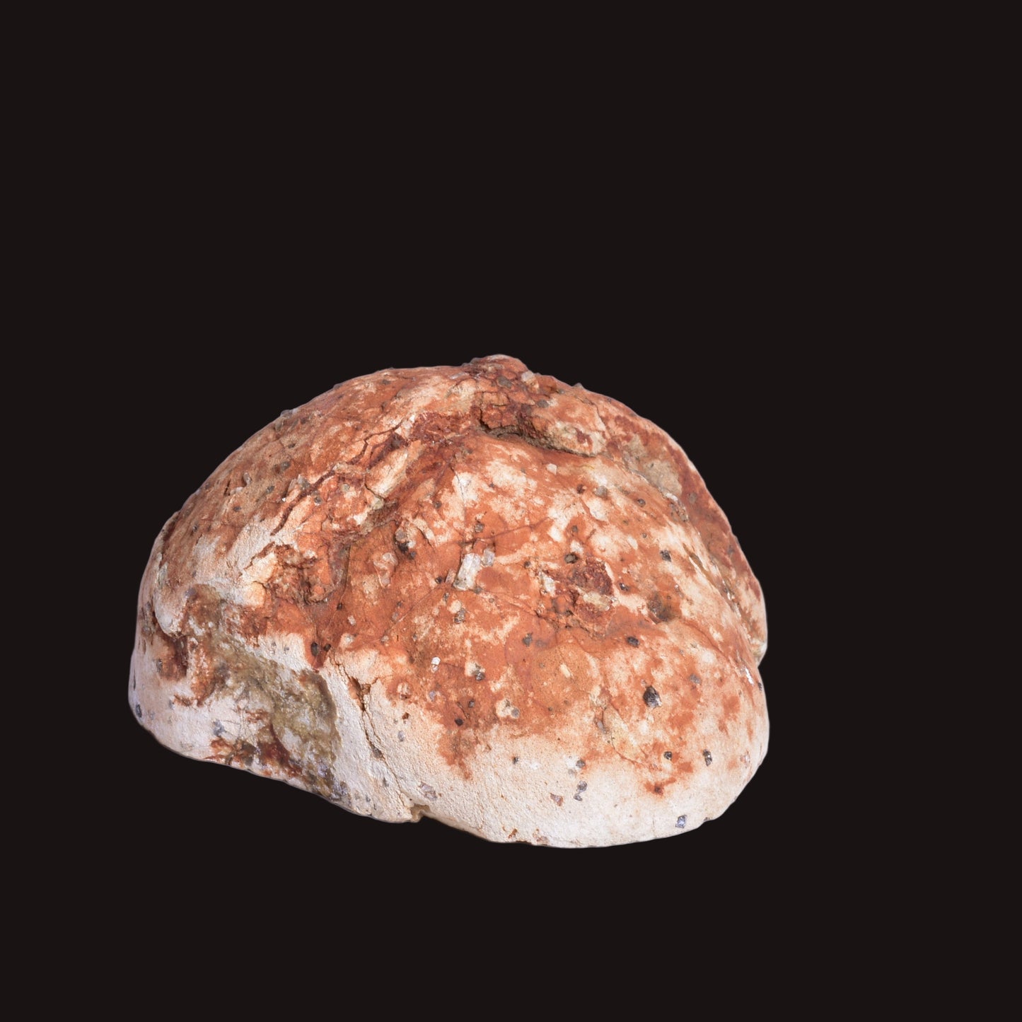 THUNDEREGG HALF, AGATE CREEK AUSTRALIA P685