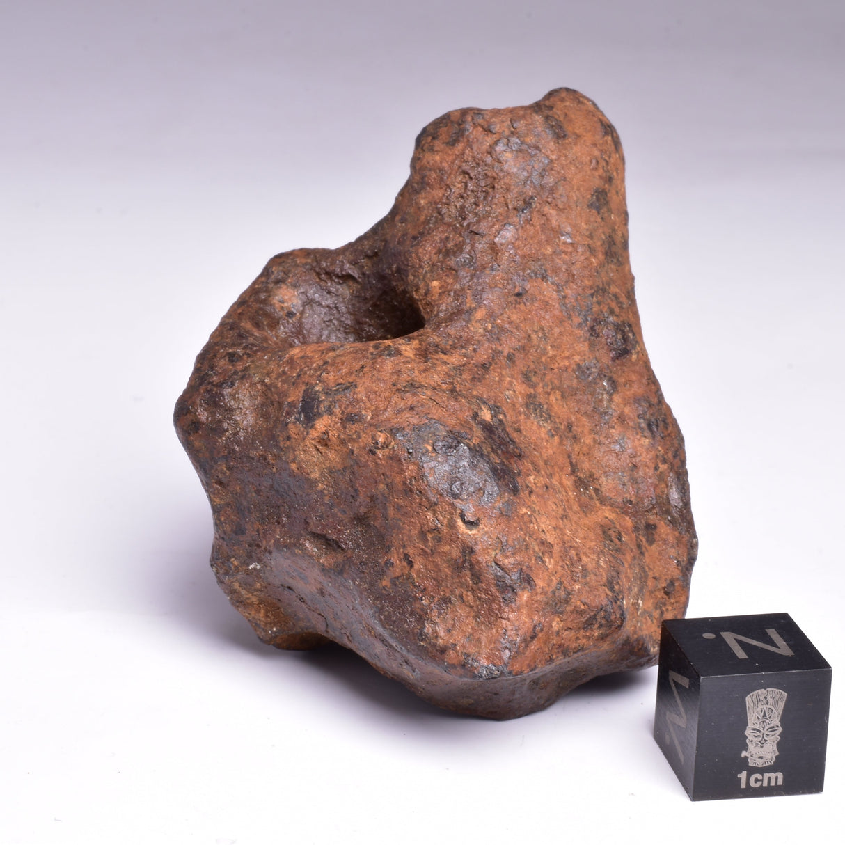 MUNDRABILLA IRON METEORITE with HOLES, VERY RARE, STONY IRON, AUSTRALIA MT73