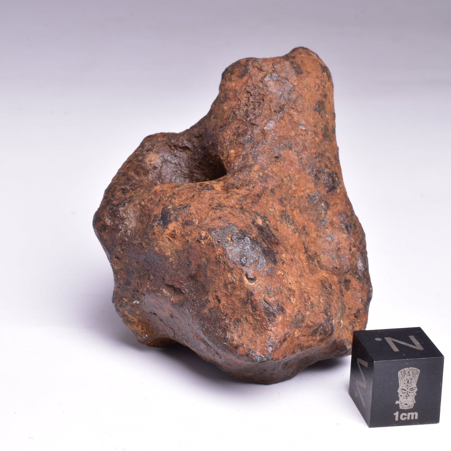 MUNDRABILLA IRON METEORITE with HOLES, VERY RARE, STONY IRON, AUSTRALIA MT73