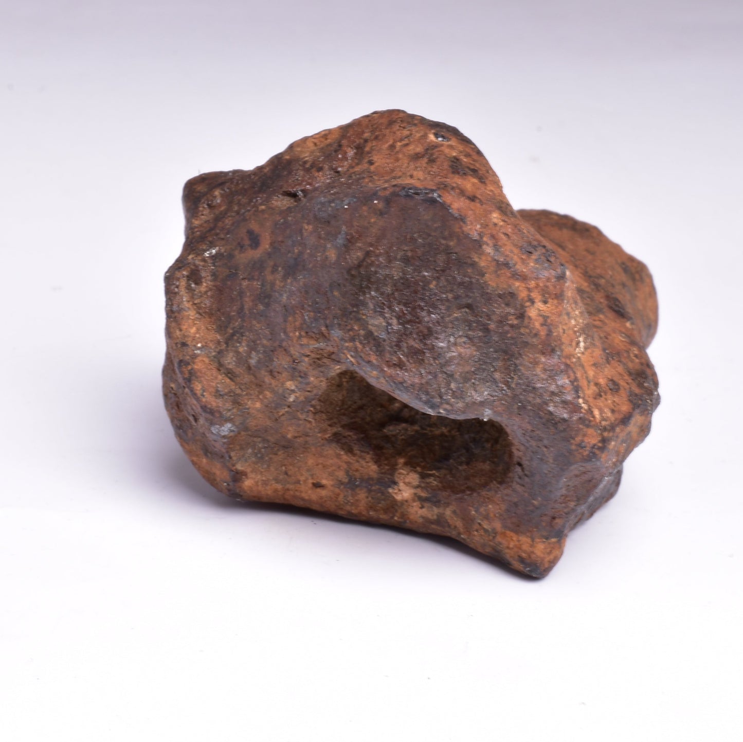 MUNDRABILLA IRON METEORITE with HOLES, VERY RARE, STONY IRON, AUSTRALIA MT73