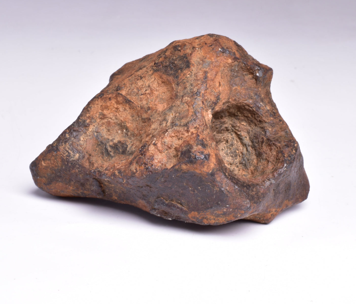 MUNDRABILLA IRON METEORITE with HOLES, VERY RARE, STONY IRON, AUSTRALIA MT73