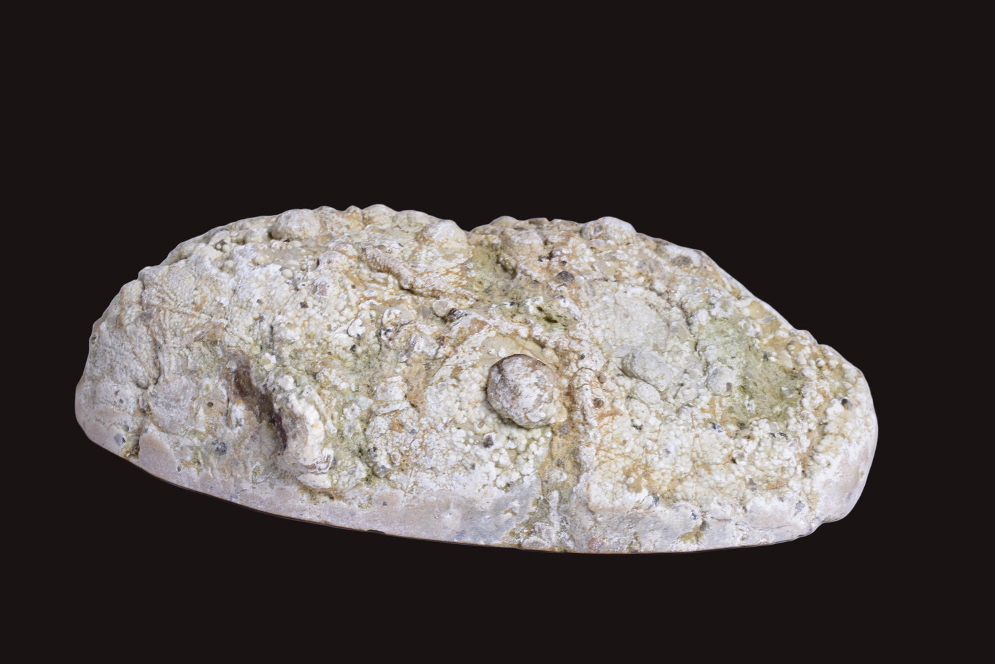 THUNDEREGG HALF, AGATE CREEK AUSTRALIA P688
