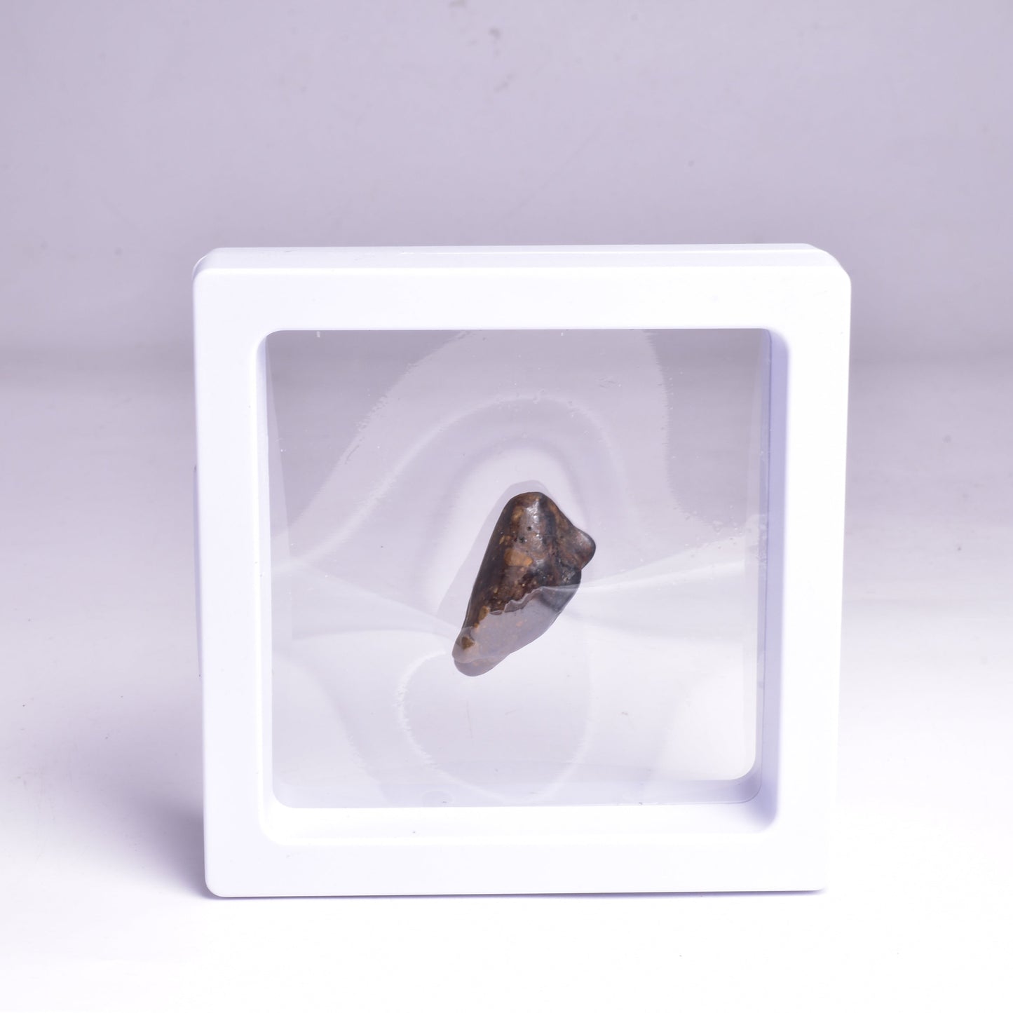 NANTAN NICKEL- IRON METEORITE, CHINA MT78