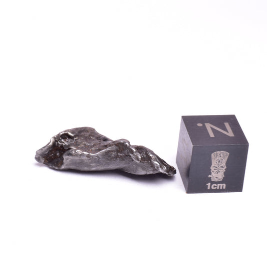 SIKHOTE-ALIN IRON COARSE METEORITE, FELL 1947, SIBERIA USSR MT150