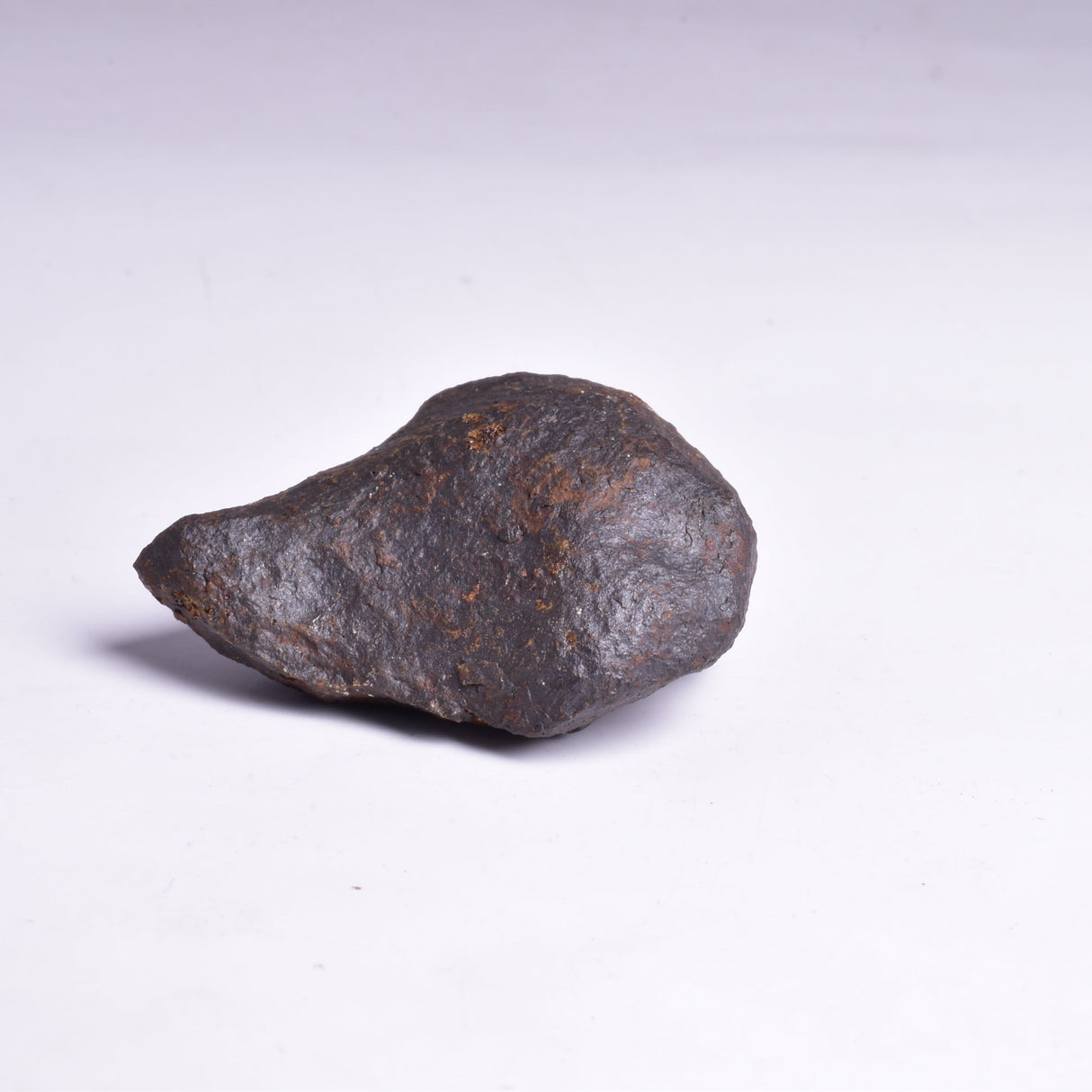 MUNDRABILLA IRON METEORITE, Western Australia MT40