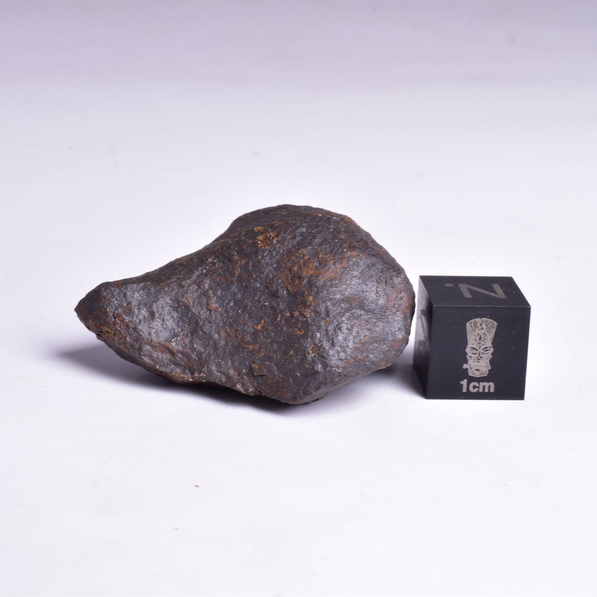 MUNDRABILLA IRON METEORITE, Western Australia MT40
