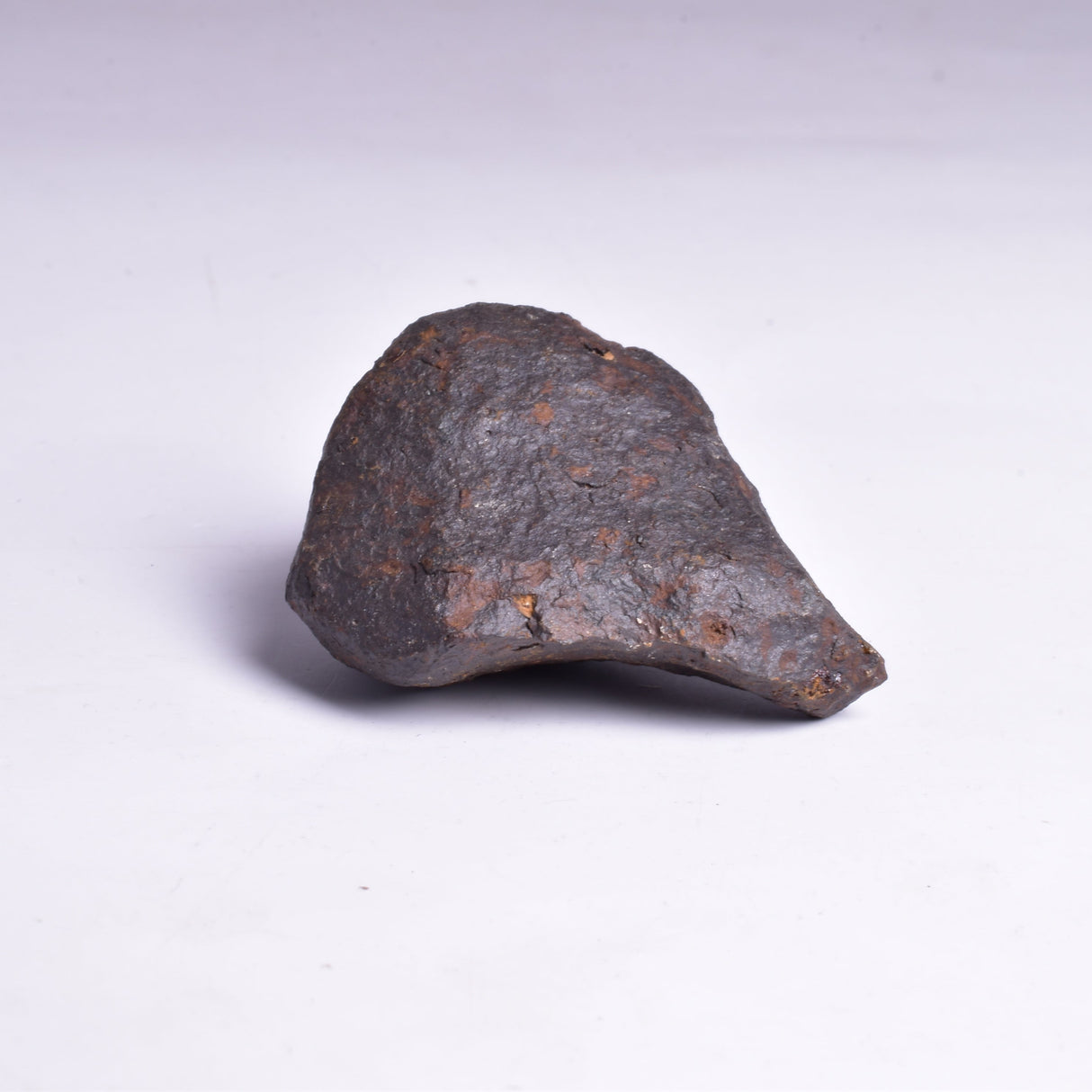 MUNDRABILLA IRON METEORITE, Western Australia MT40