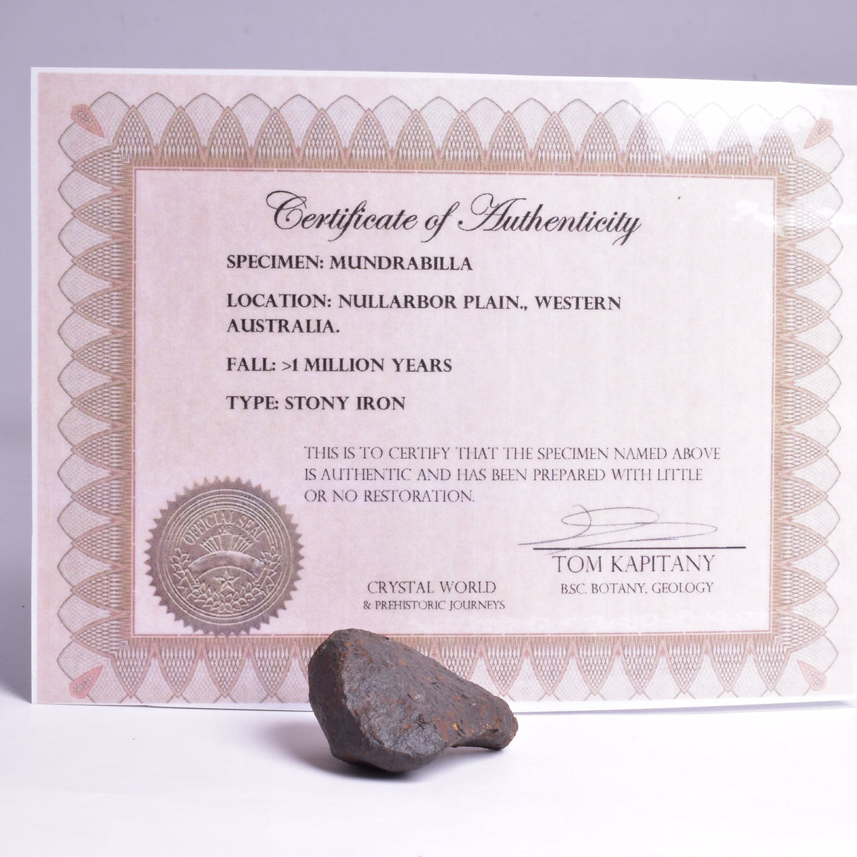 MUNDRABILLA IRON METEORITE, Western Australia MT40